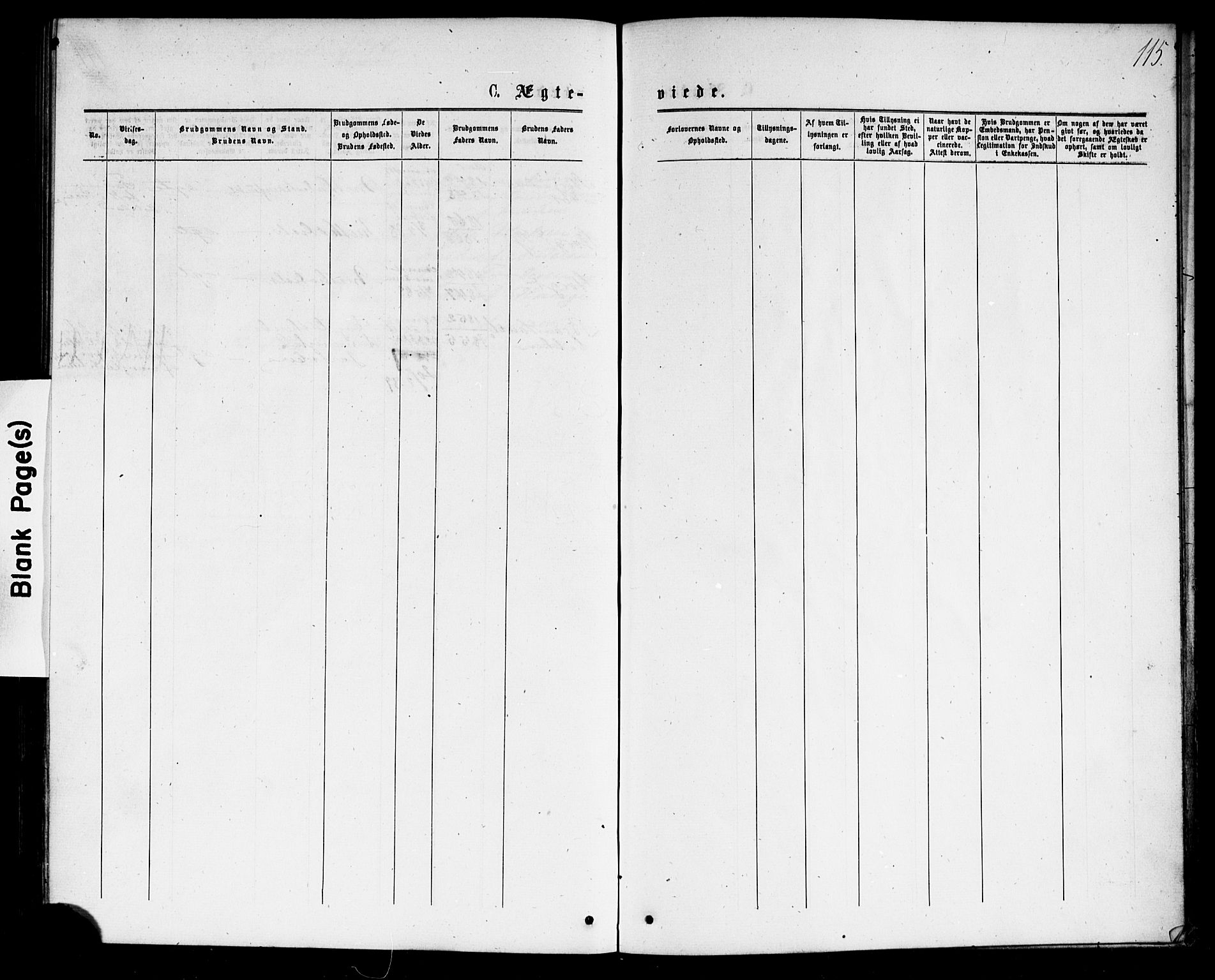 Strømsø kirkebøker, AV/SAKO-A-246/G/Ga/L0002: Parish register (copy) no. 2, 1877-1896, p. 115