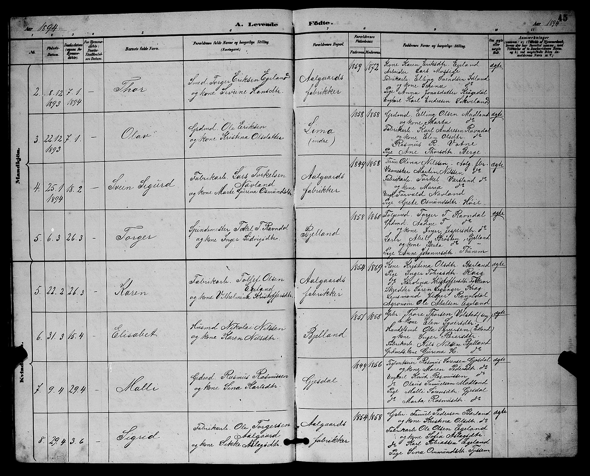 Lye sokneprestkontor, AV/SAST-A-101794/001/30BB/L0008: Parish register (copy) no. B 7, 1887-1901, p. 45