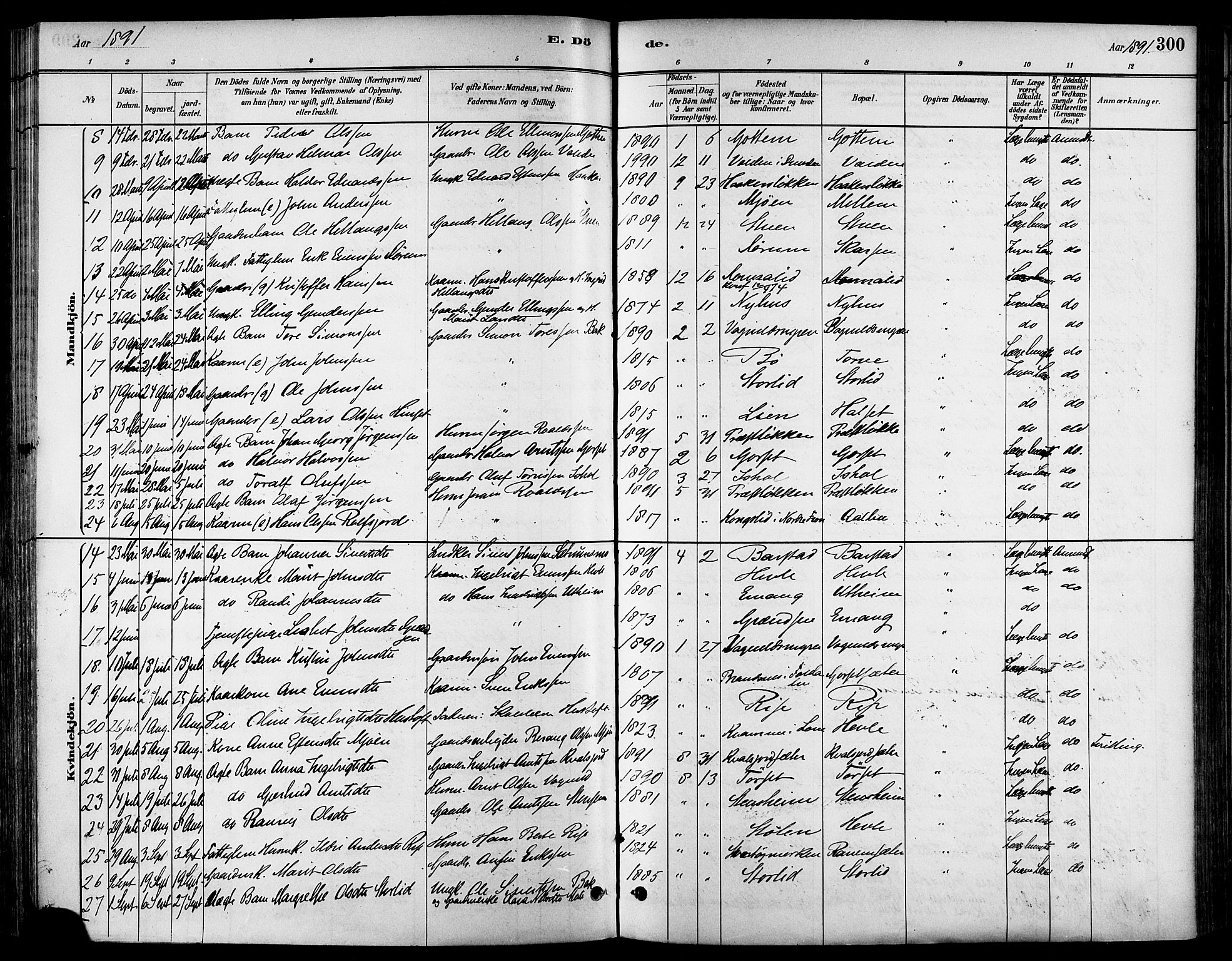 Ministerialprotokoller, klokkerbøker og fødselsregistre - Sør-Trøndelag, SAT/A-1456/678/L0901: Parish register (official) no. 678A10, 1881-1894, p. 300
