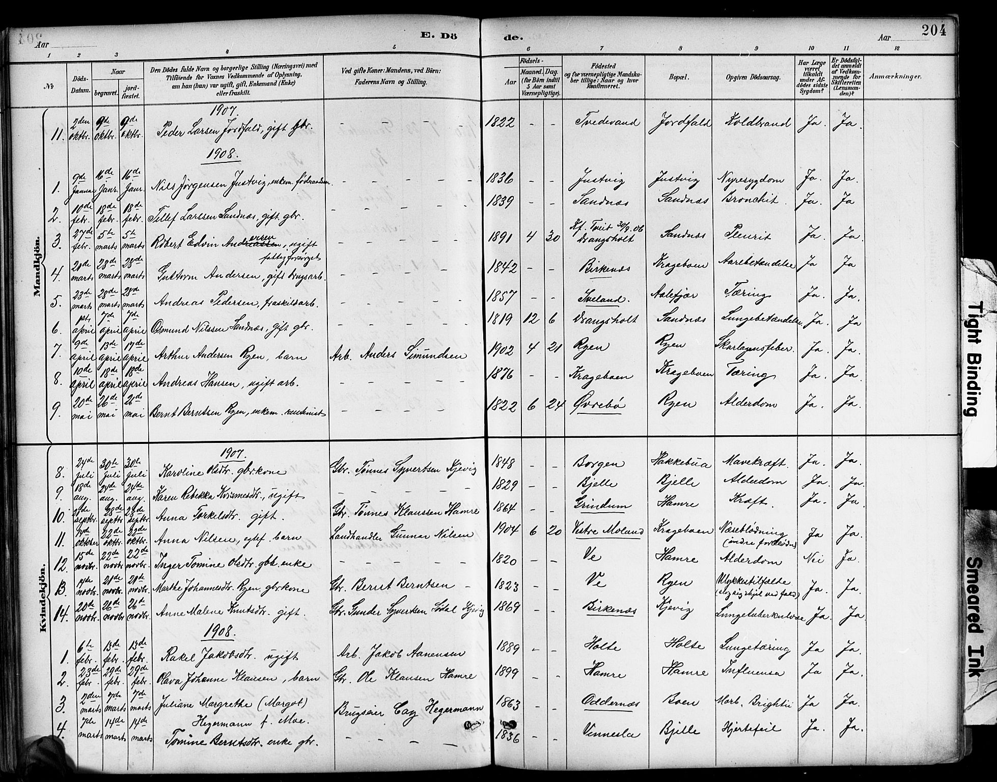 Tveit sokneprestkontor, AV/SAK-1111-0043/F/Fb/L0004: Parish register (copy) no. B 4, 1887-1914, p. 204