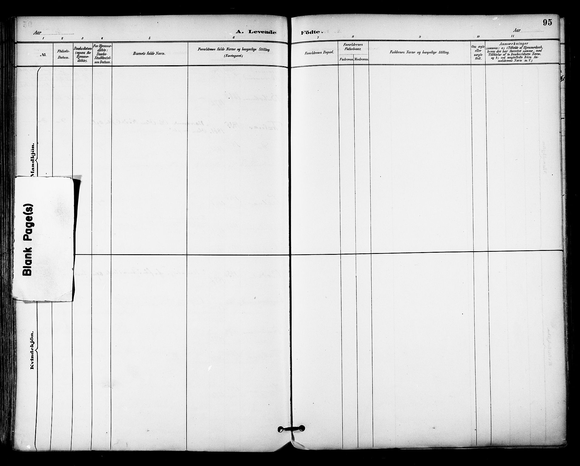 Ministerialprotokoller, klokkerbøker og fødselsregistre - Nordland, AV/SAT-A-1459/813/L0200: Parish register (official) no. 813A10, 1886-1900, p. 95