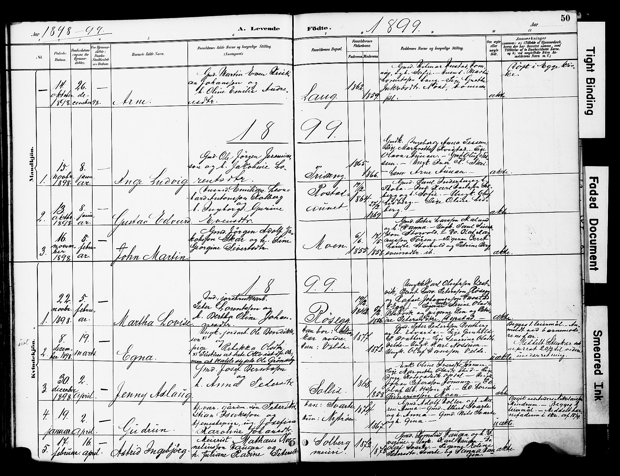 Ministerialprotokoller, klokkerbøker og fødselsregistre - Nord-Trøndelag, AV/SAT-A-1458/741/L0396: Parish register (official) no. 741A10, 1889-1901, p. 50