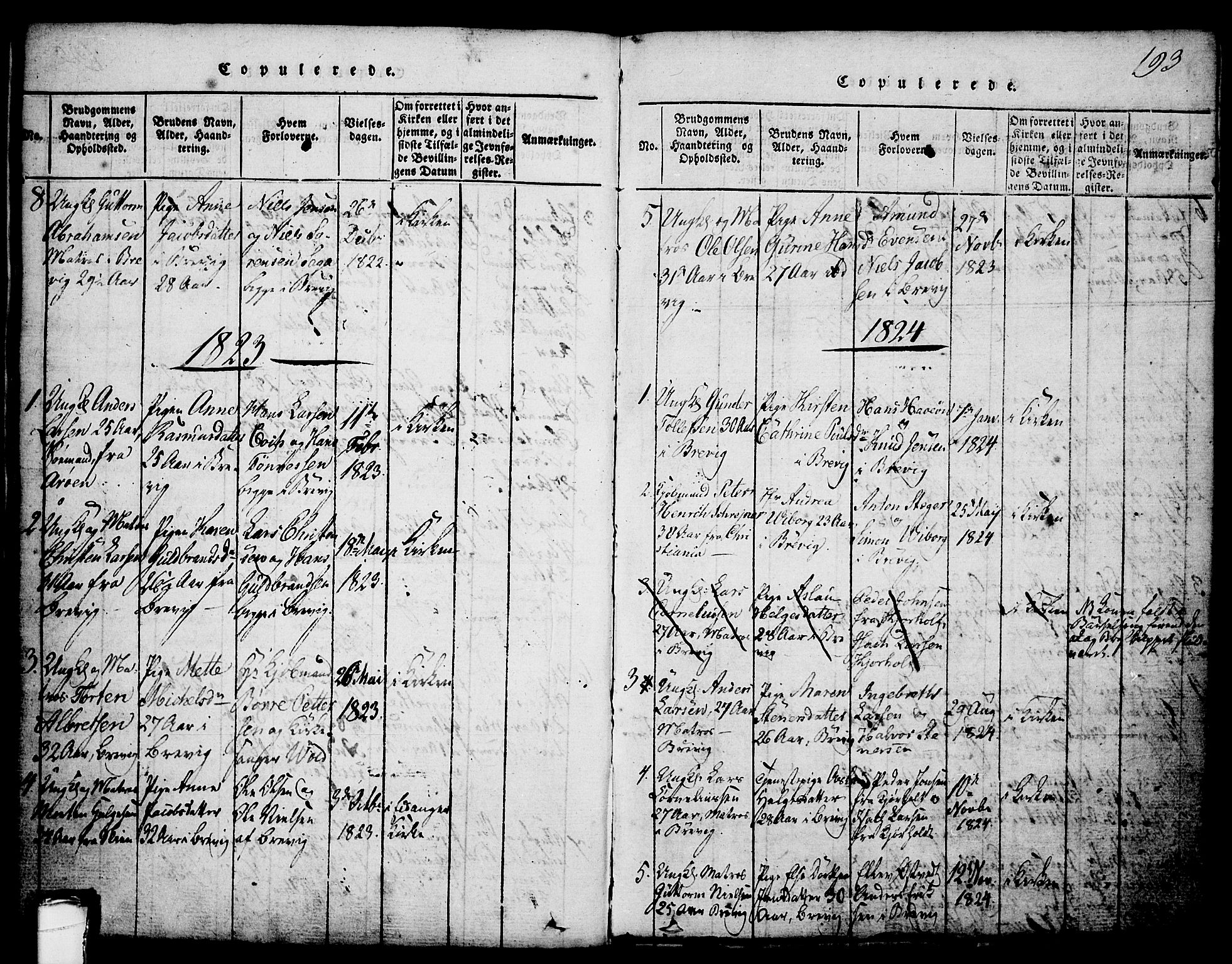 Brevik kirkebøker, SAKO/A-255/G/Ga/L0001: Parish register (copy) no. 1, 1814-1845, p. 193
