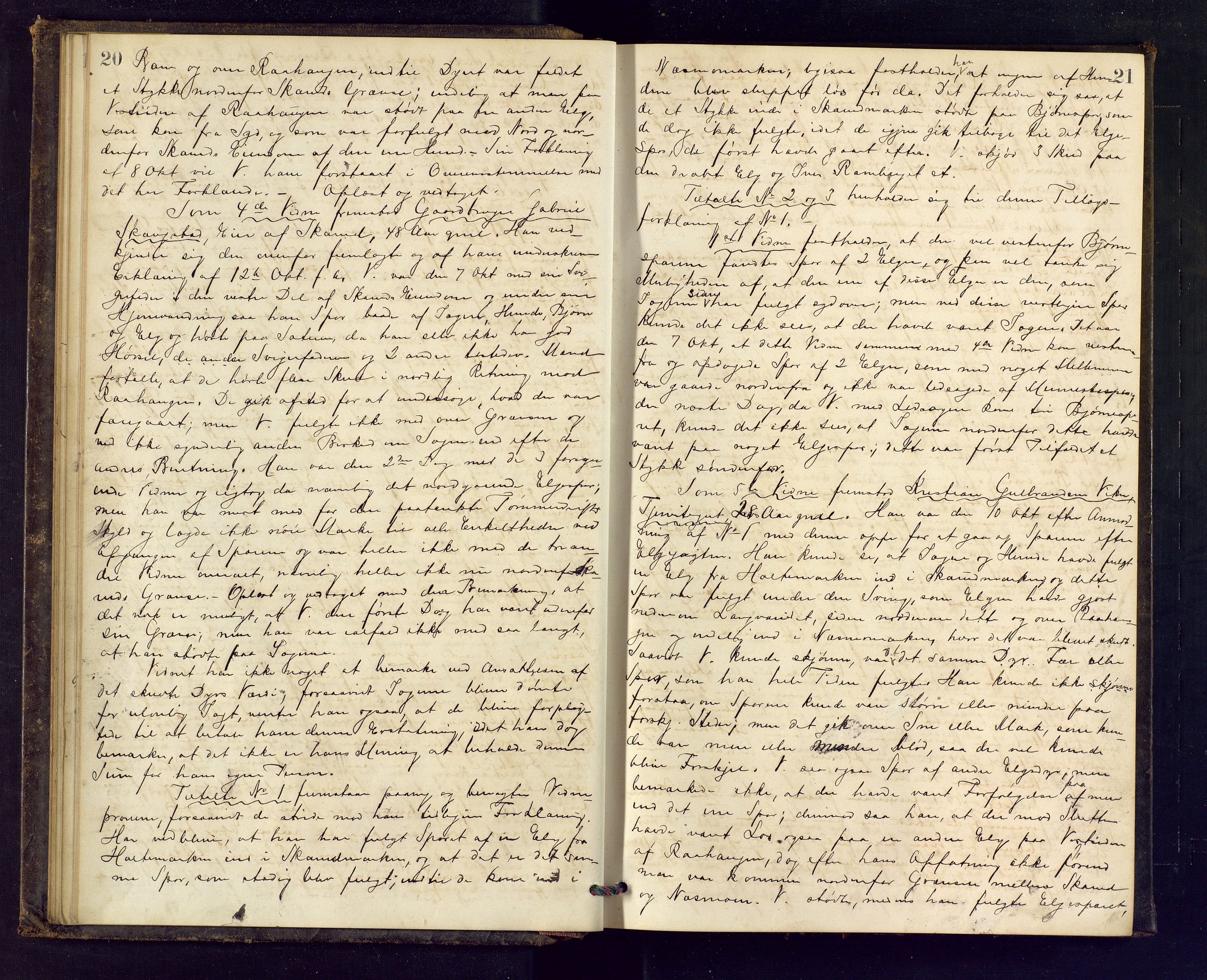 Ringerike sorenskriveri, AV/SAKO-A-105/F/Fc/Fca/L0017: Ekstrarettsprotokoll, 1880-1882, p. 20-21