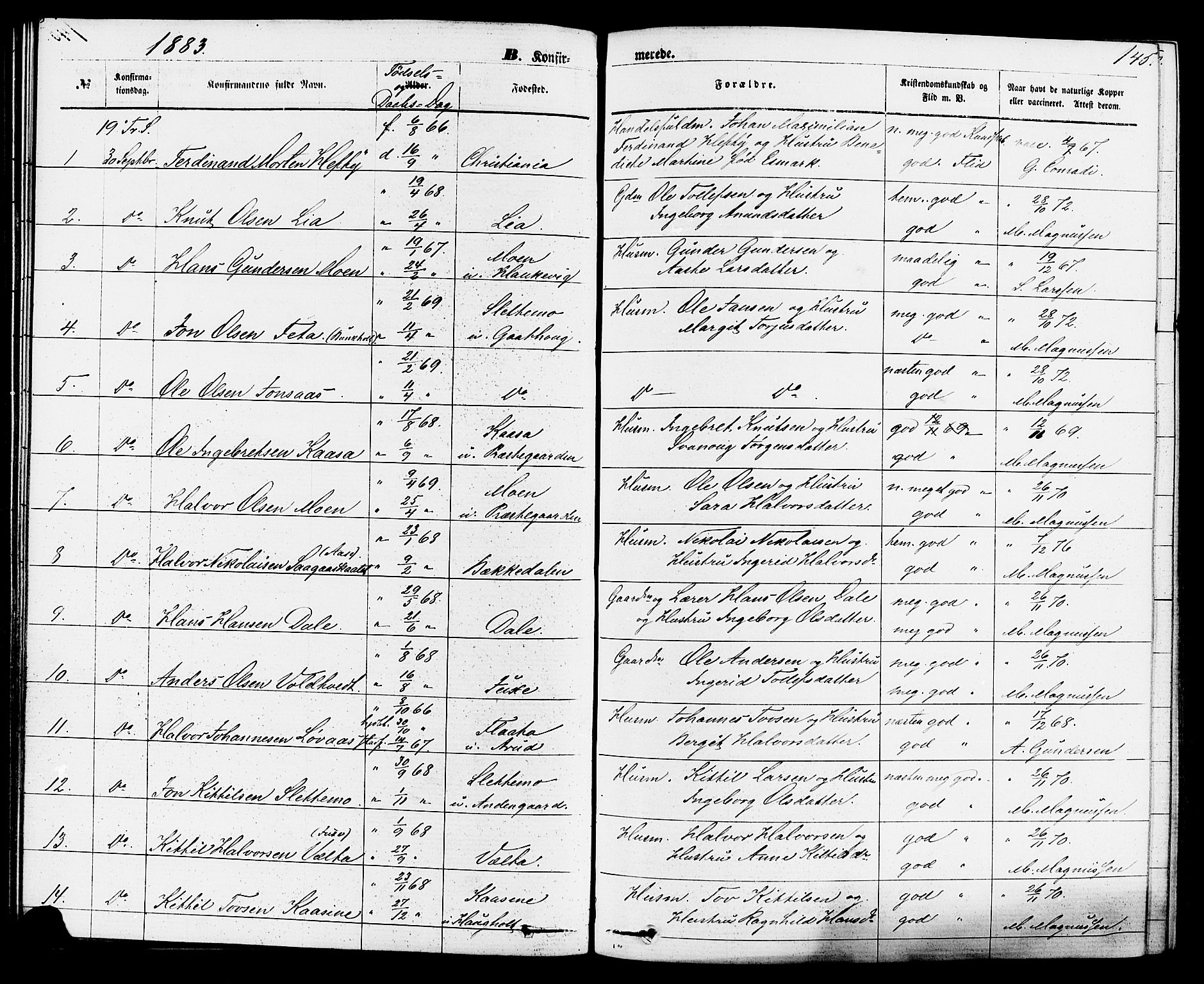 Sauherad kirkebøker, SAKO/A-298/F/Fa/L0008: Parish register (official) no. I 8, 1873-1886, p. 145