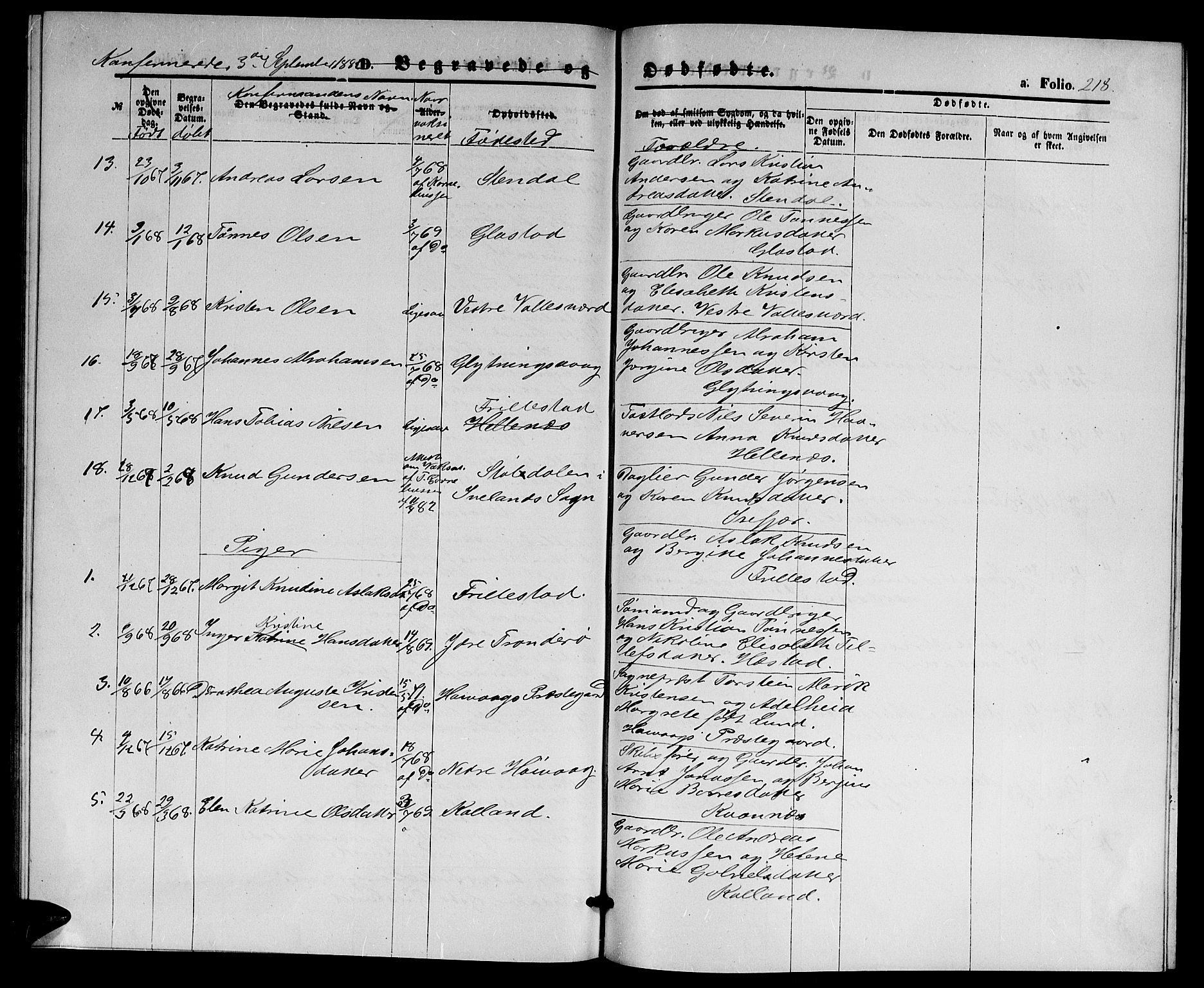 Høvåg sokneprestkontor, SAK/1111-0025/F/Fb/L0003: Parish register (copy) no. B 3, 1870-1882, p. 218