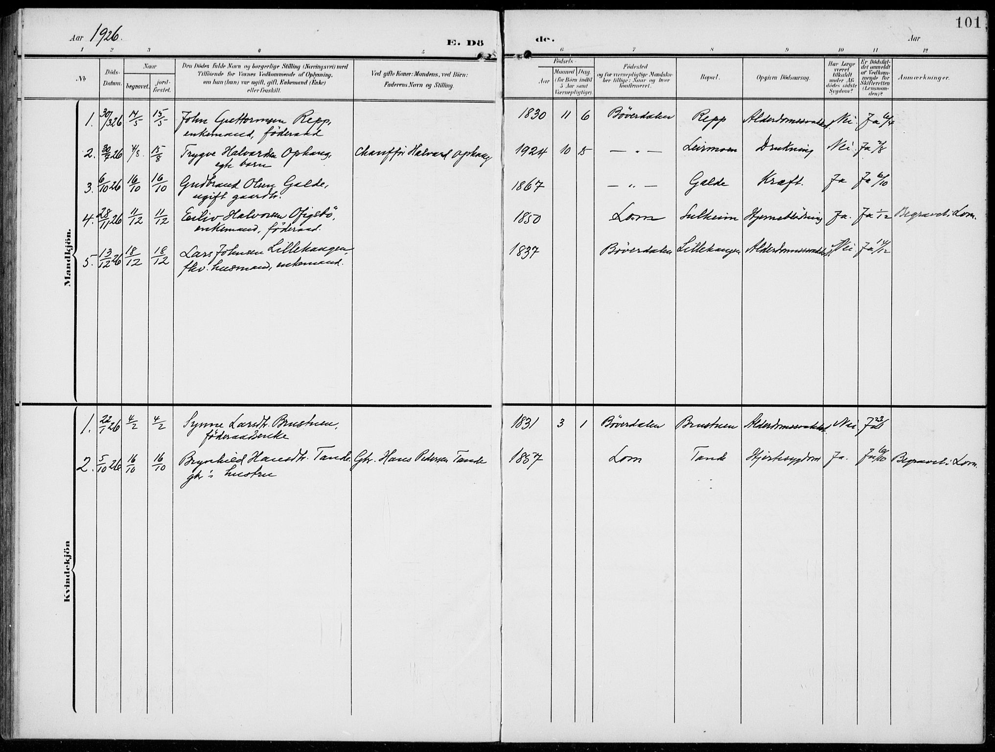 Lom prestekontor, AV/SAH-PREST-070/L/L0007: Parish register (copy) no. 7, 1904-1938, p. 101