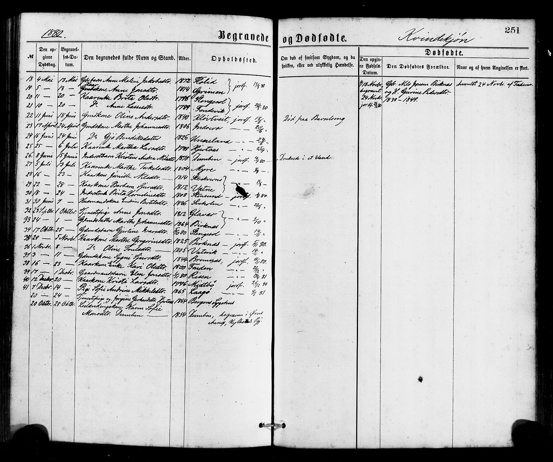 Gulen sokneprestembete, AV/SAB-A-80201/H/Haa/Haaa/L0023: Parish register (official) no. A 23, 1870-1880, p. 251