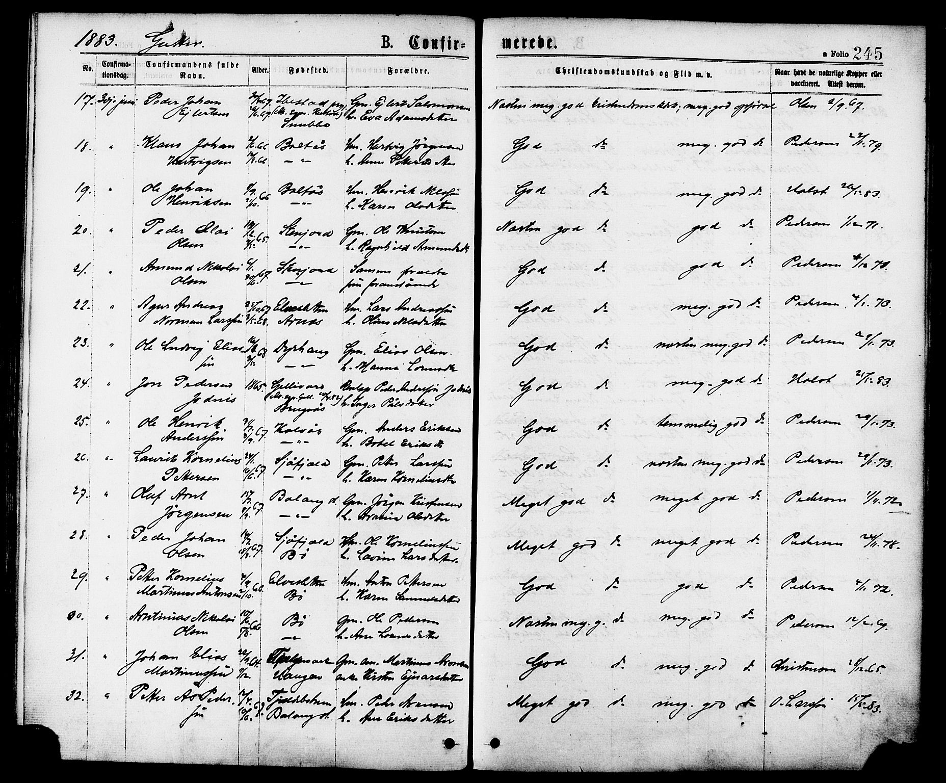 Ministerialprotokoller, klokkerbøker og fødselsregistre - Nordland, AV/SAT-A-1459/863/L0897: Parish register (official) no. 863A09, 1872-1886, p. 245