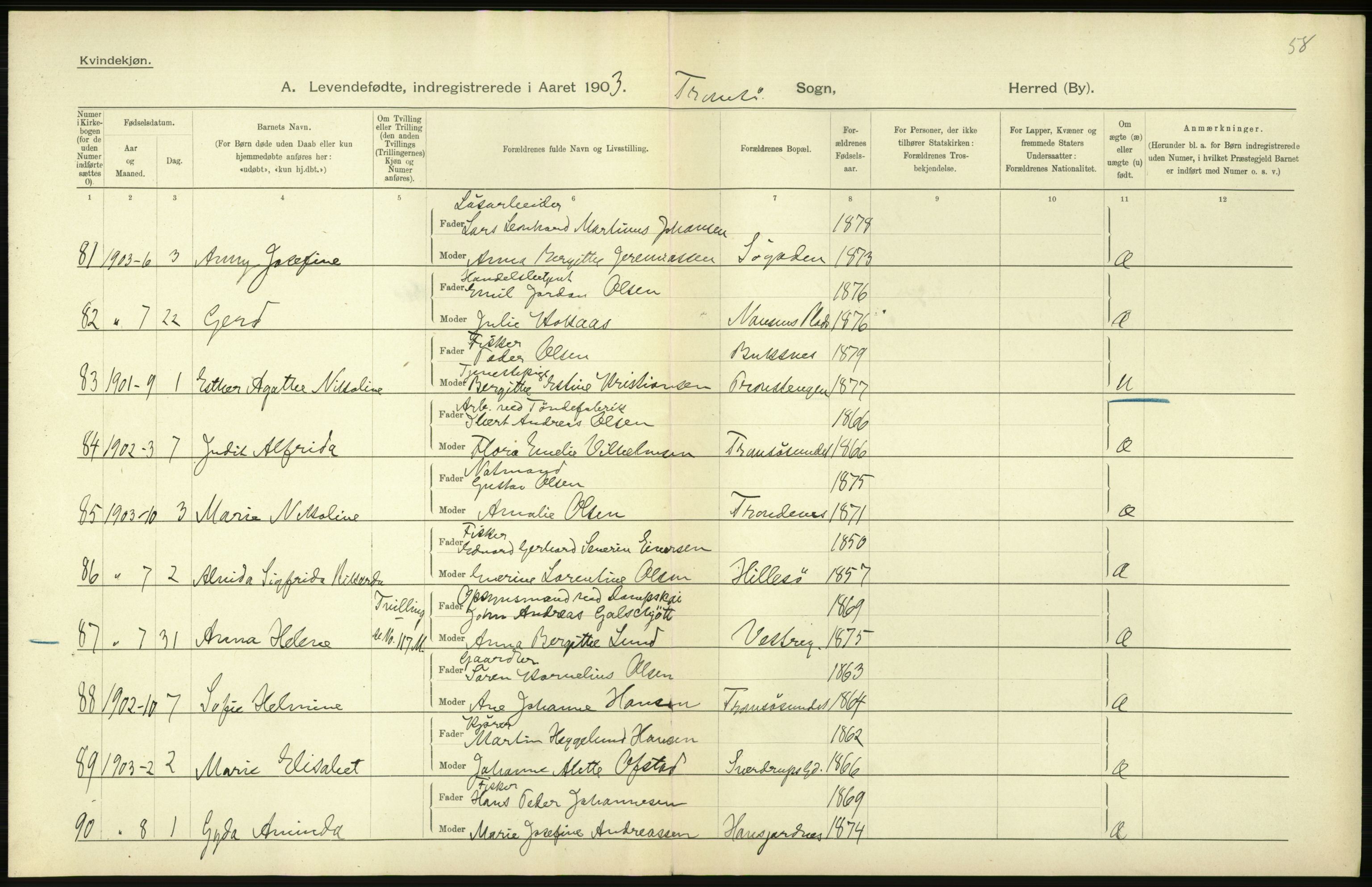 Statistisk sentralbyrå, Sosiodemografiske emner, Befolkning, AV/RA-S-2228/D/Df/Dfa/Dfaa/L0021: Tromsø amt: Fødte, gifte, døde., 1903, p. 282