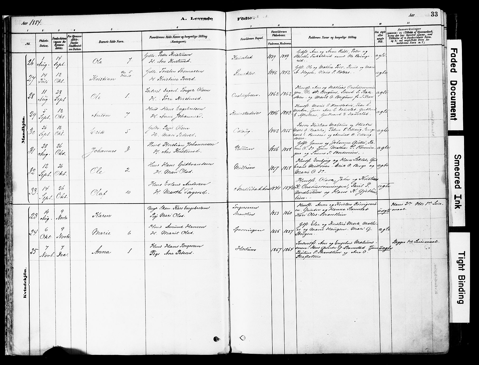 Ringebu prestekontor, AV/SAH-PREST-082/H/Ha/Haa/L0008: Parish register (official) no. 8, 1878-1898, p. 33