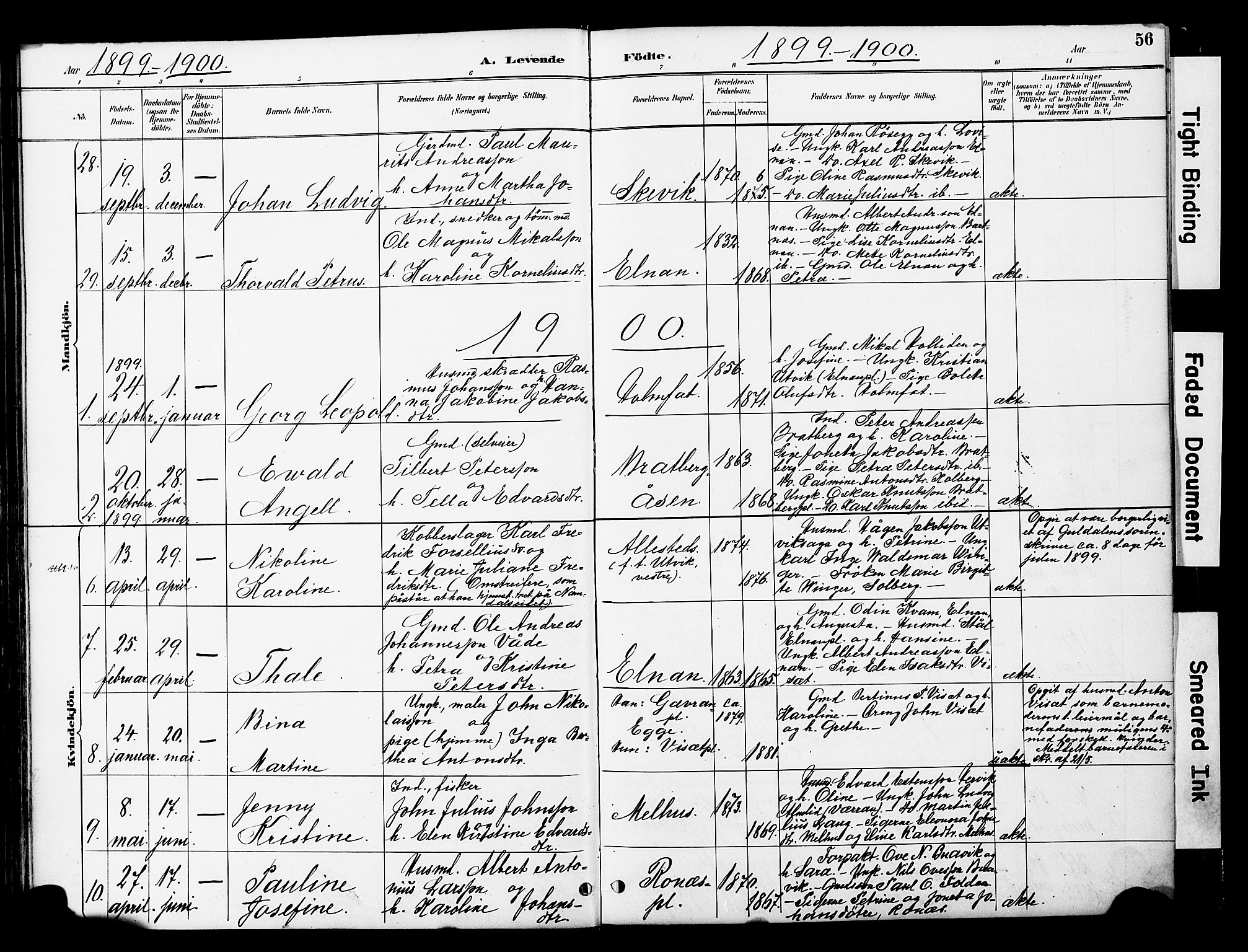 Ministerialprotokoller, klokkerbøker og fødselsregistre - Nord-Trøndelag, SAT/A-1458/741/L0396: Parish register (official) no. 741A10, 1889-1901, p. 56