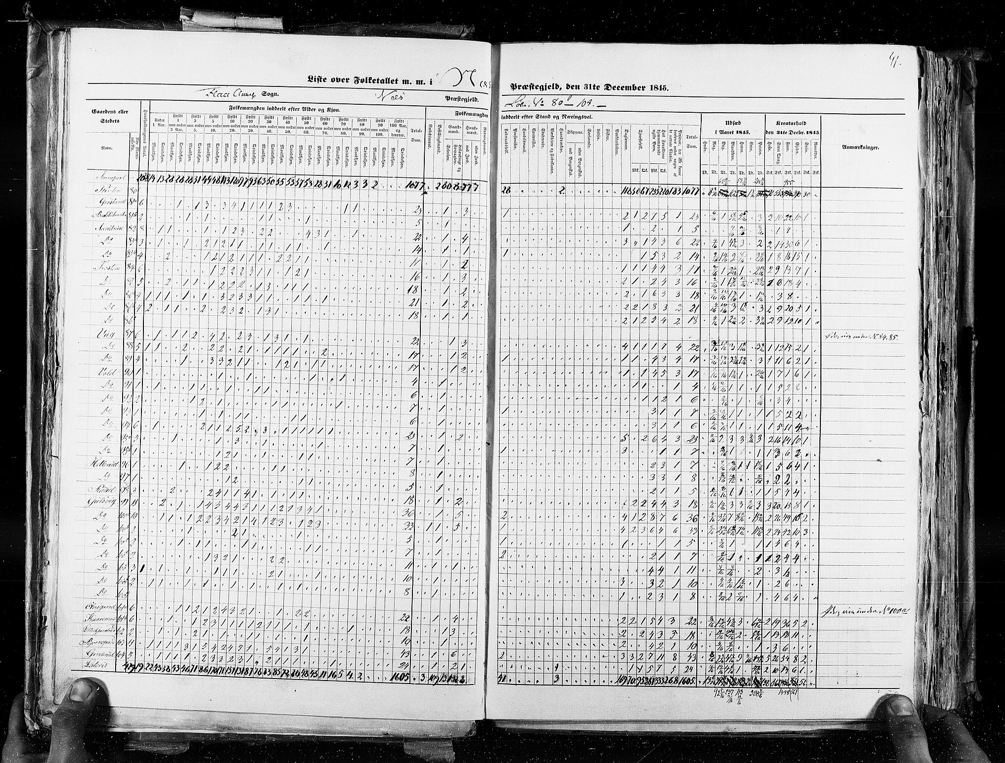 RA, Census 1845, vol. 4: Buskerud amt og Jarlsberg og Larvik amt, 1845, p. 41