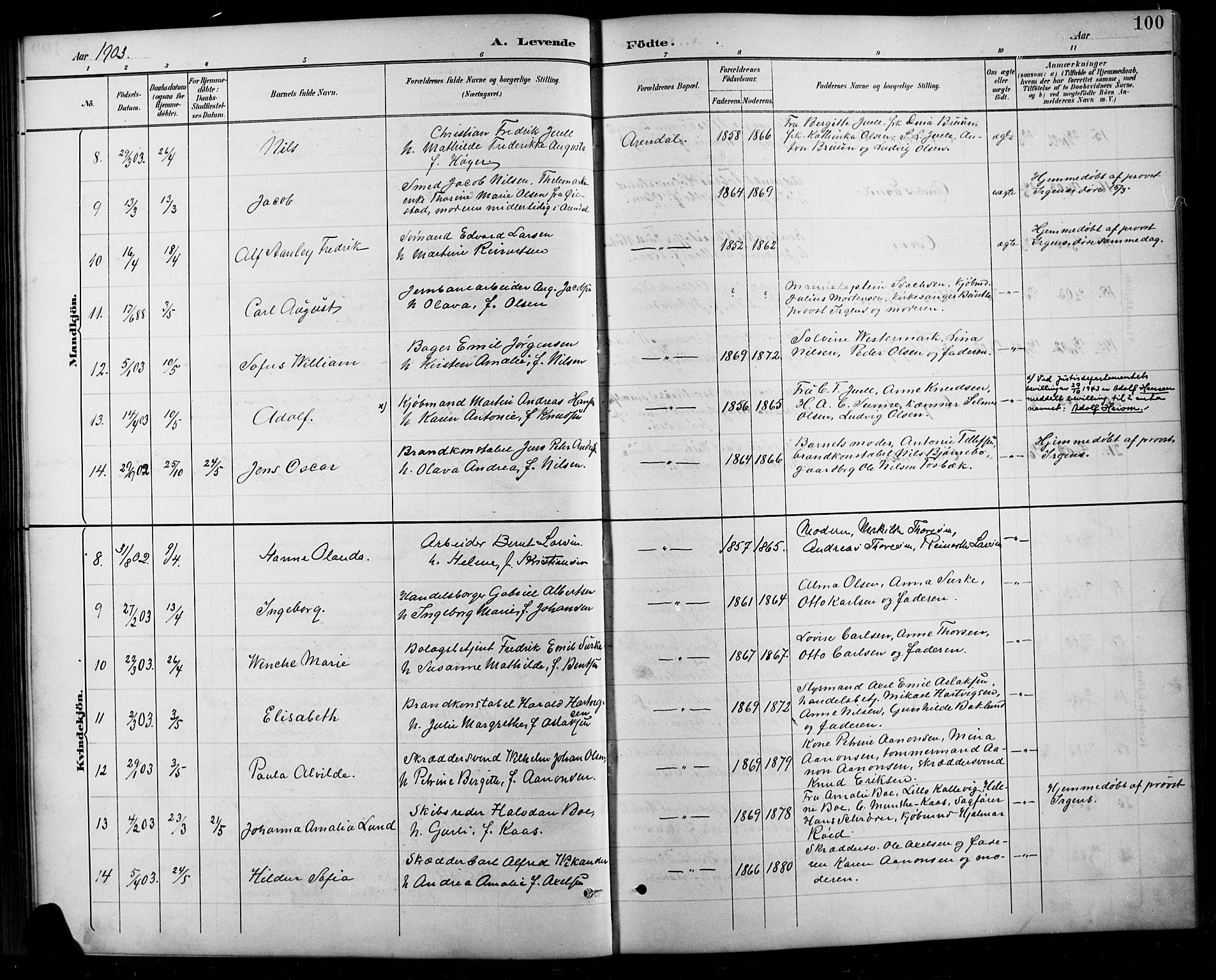 Arendal sokneprestkontor, Trefoldighet, SAK/1111-0040/F/Fb/L0006: Parish register (copy) no. B 6, 1889-1916, p. 100