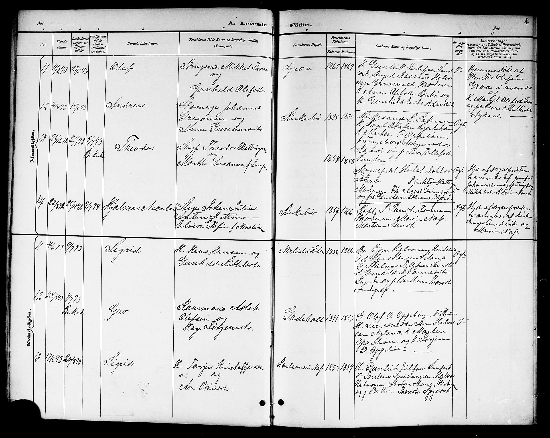 Kviteseid kirkebøker, SAKO/A-276/G/Ga/L0002: Parish register (copy) no. I 2, 1893-1918, p. 4