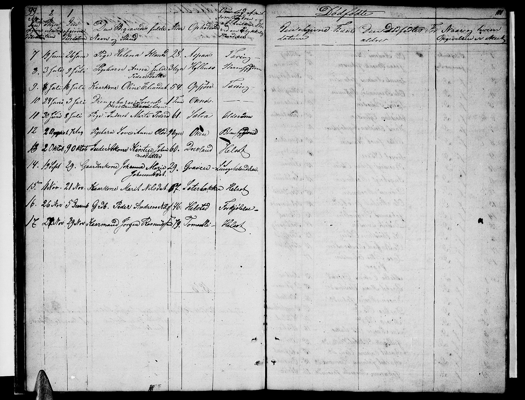 Ministerialprotokoller, klokkerbøker og fødselsregistre - Nordland, AV/SAT-A-1459/814/L0228: Parish register (copy) no. 814C01, 1838-1858, p. 99-100