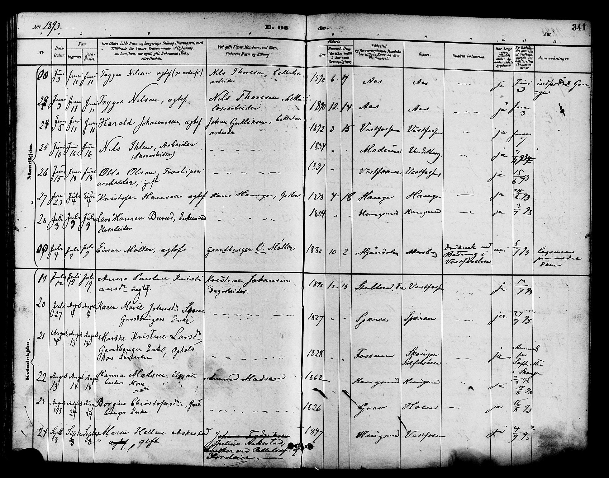 Eiker kirkebøker, AV/SAKO-A-4/F/Fb/L0002: Parish register (official) no. II 2, 1889-1896, p. 341