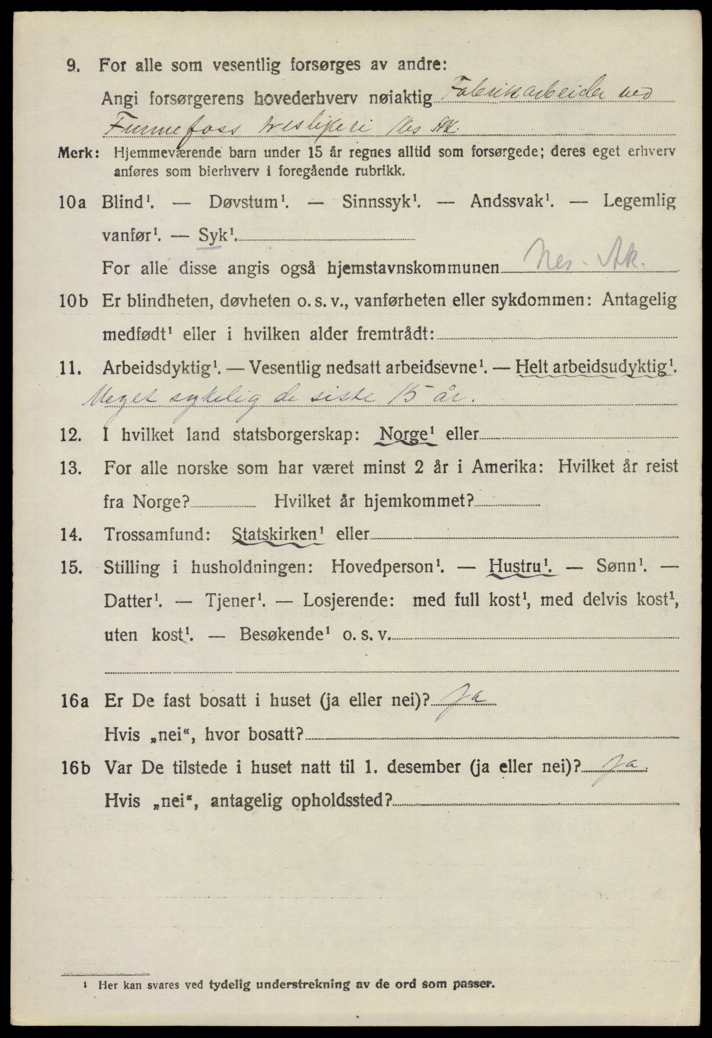 SAO, 1920 census for Nes, 1920, p. 6215