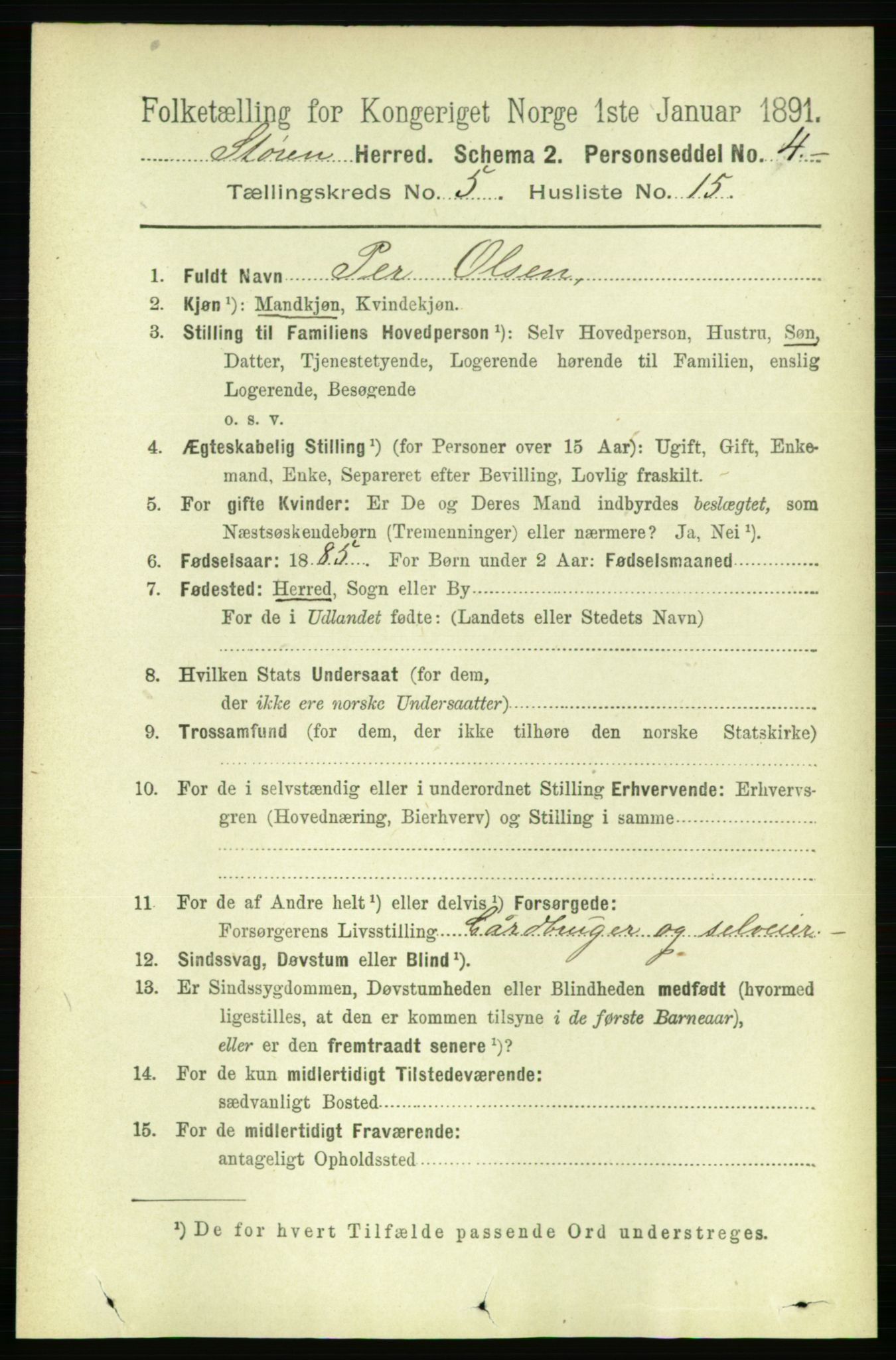 RA, 1891 census for 1648 Støren, 1891, p. 2023