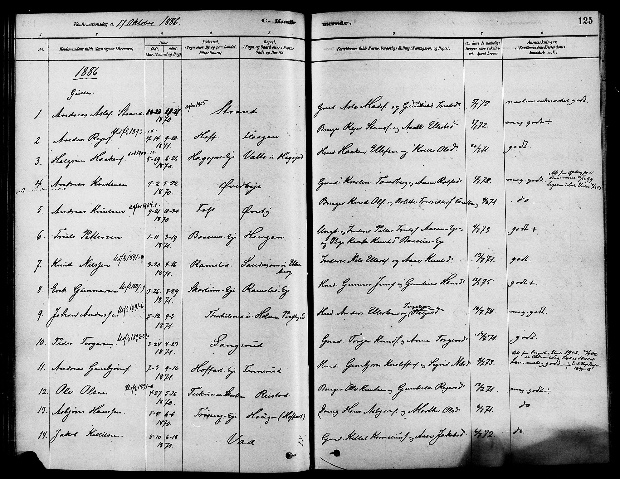 Sigdal kirkebøker, AV/SAKO-A-245/F/Fa/L0011: Parish register (official) no. I 11, 1879-1887, p. 125