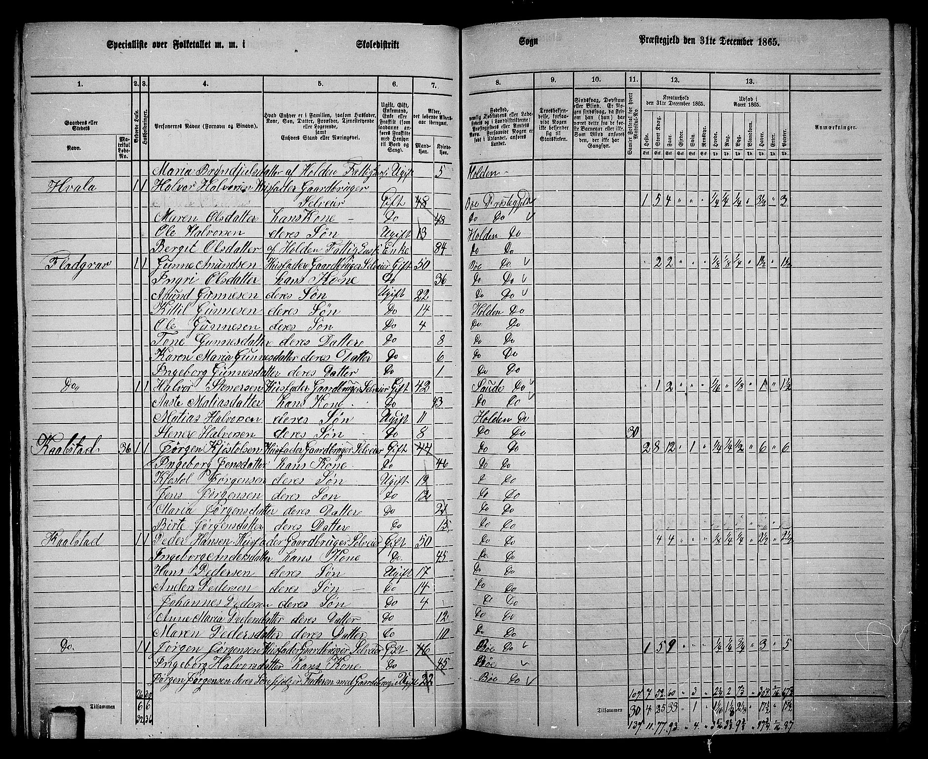 RA, 1865 census for Holla, 1865, p. 95