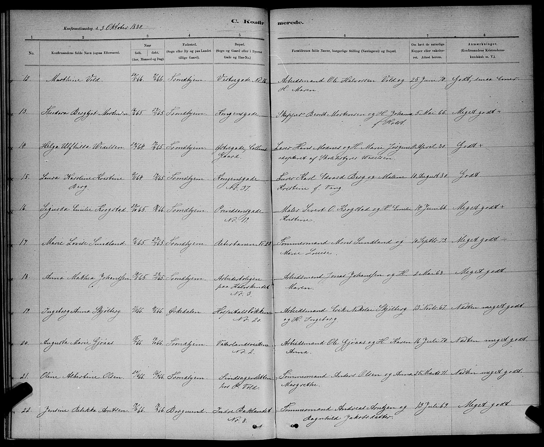 Ministerialprotokoller, klokkerbøker og fødselsregistre - Sør-Trøndelag, AV/SAT-A-1456/601/L0091: Parish register (copy) no. 601C09, 1878-1883