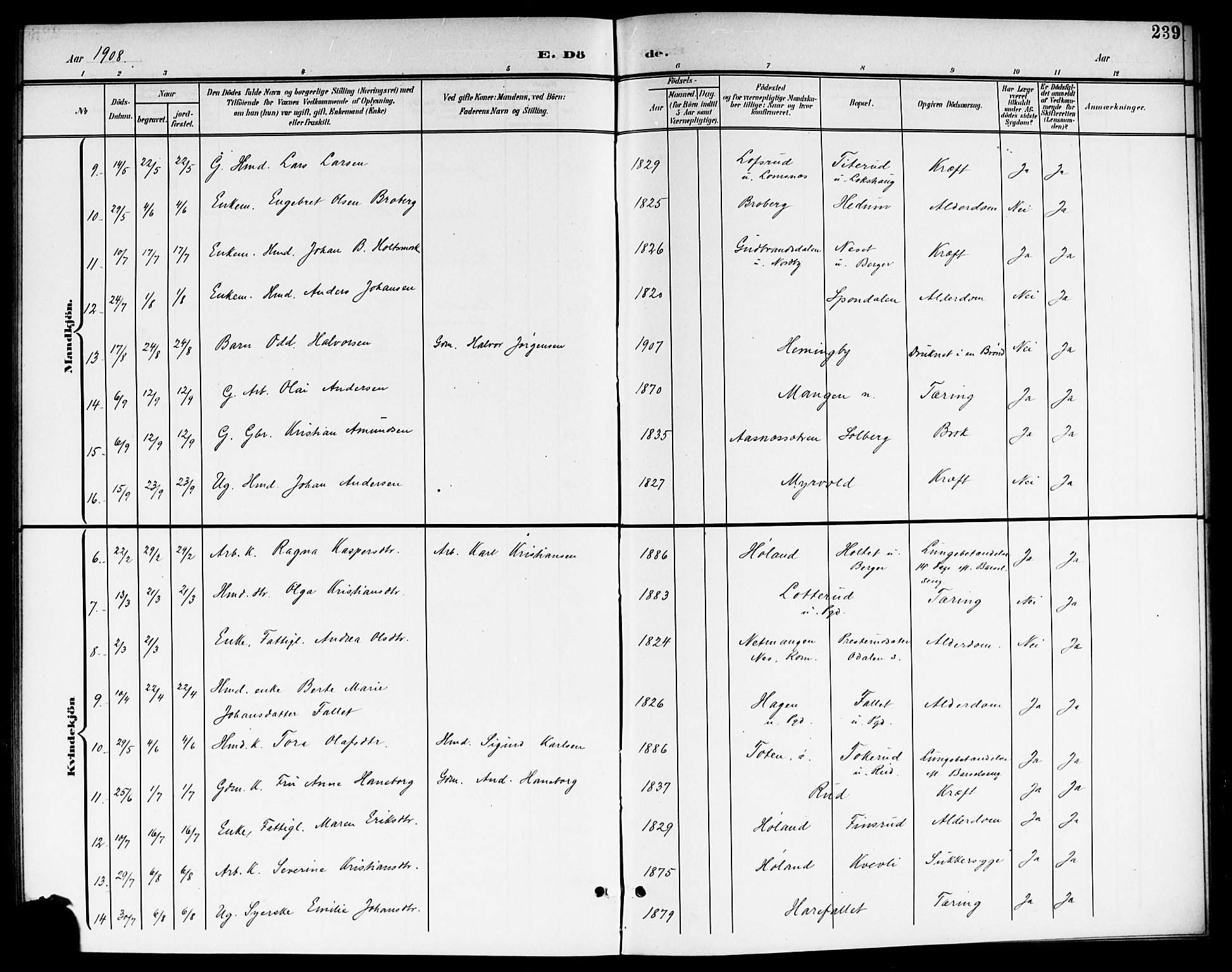 Aurskog prestekontor Kirkebøker, SAO/A-10304a/G/Ga/L0004: Parish register (copy) no. I 4, 1901-1921, p. 239
