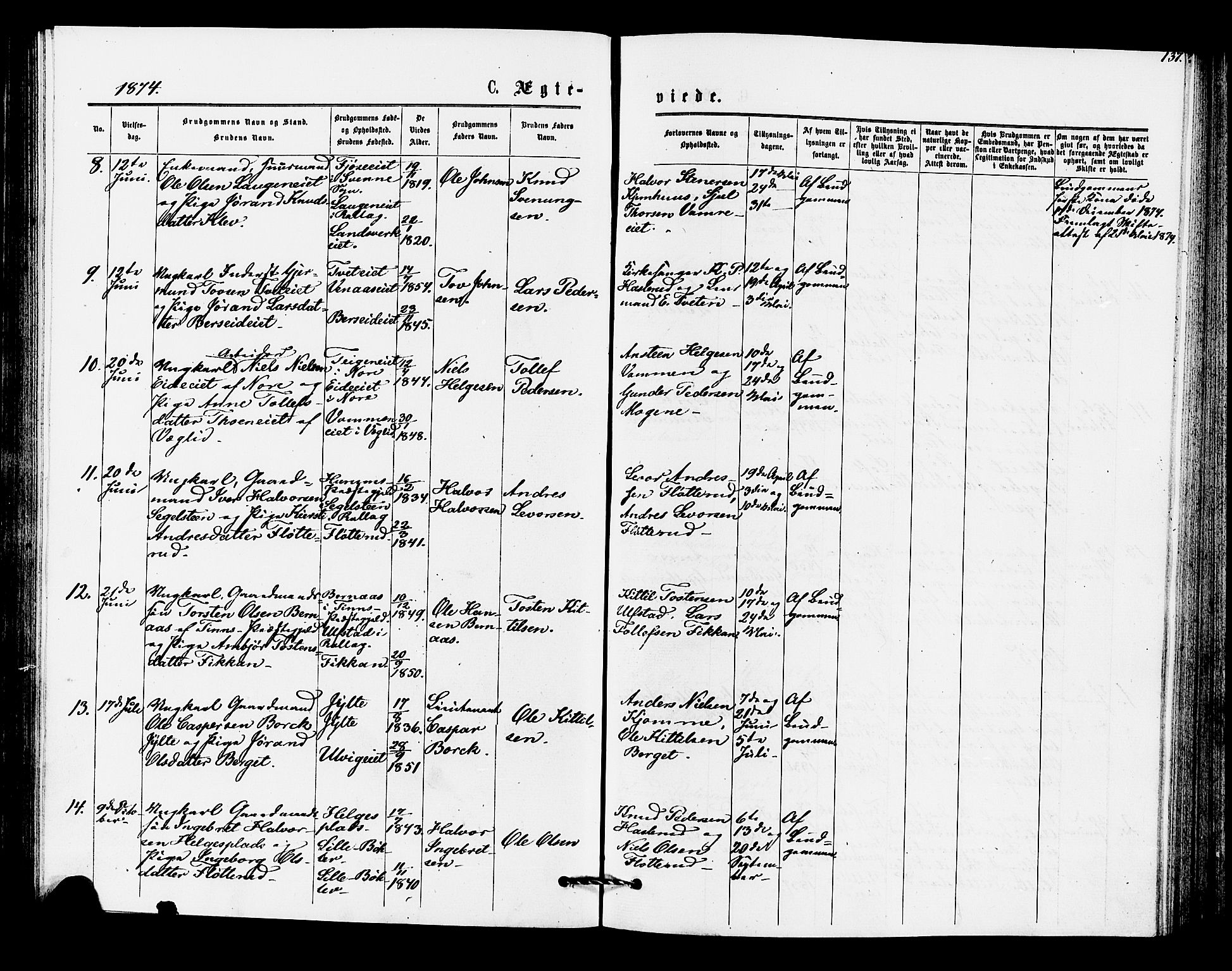 Rollag kirkebøker, AV/SAKO-A-240/F/Fa/L0010: Parish register (official) no. I 10, 1874-1877, p. 137