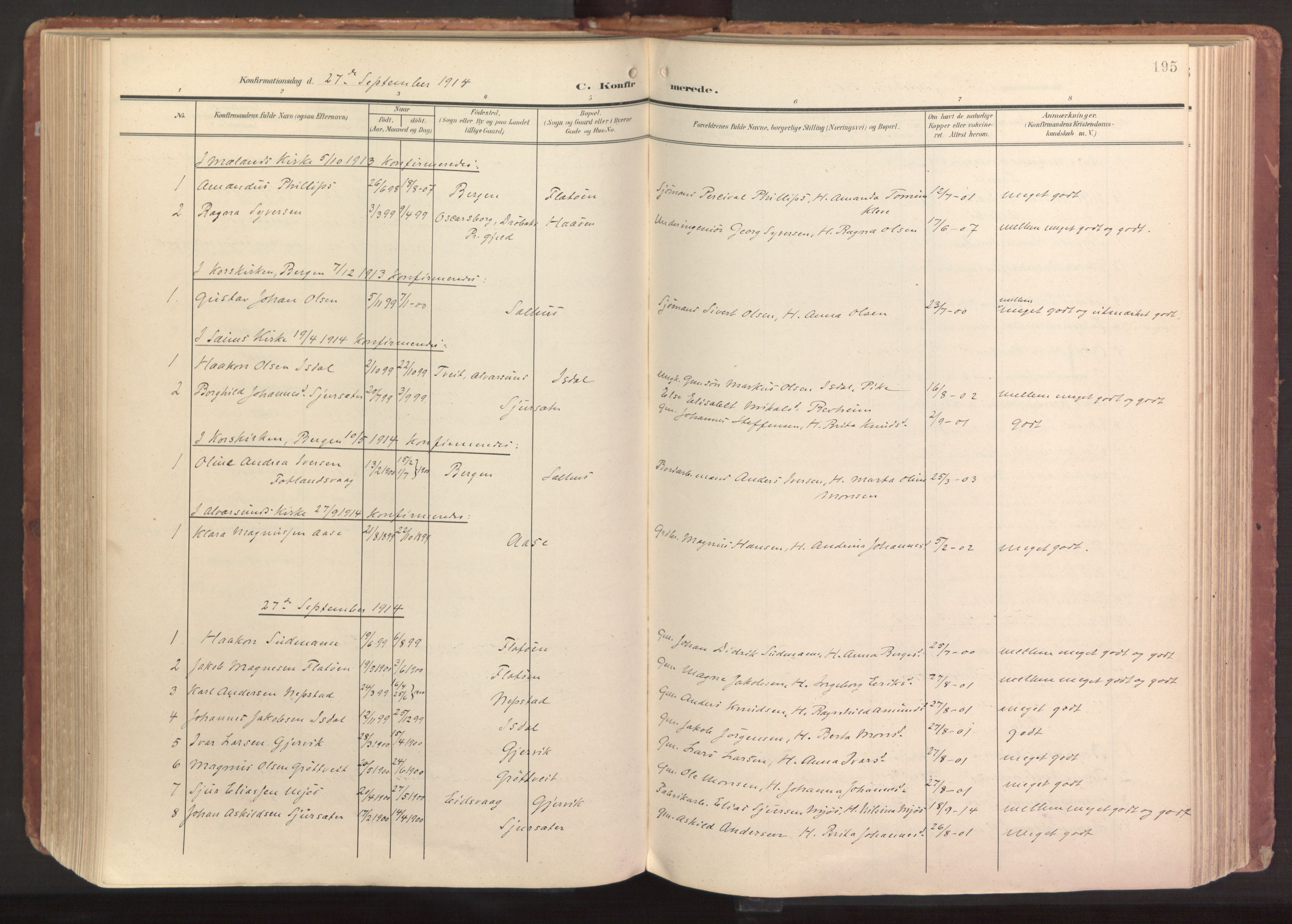 Hamre sokneprestembete, AV/SAB-A-75501/H/Ha/Haa/Haab/L0002: Parish register (official) no. B 2, 1905-1924, p. 195