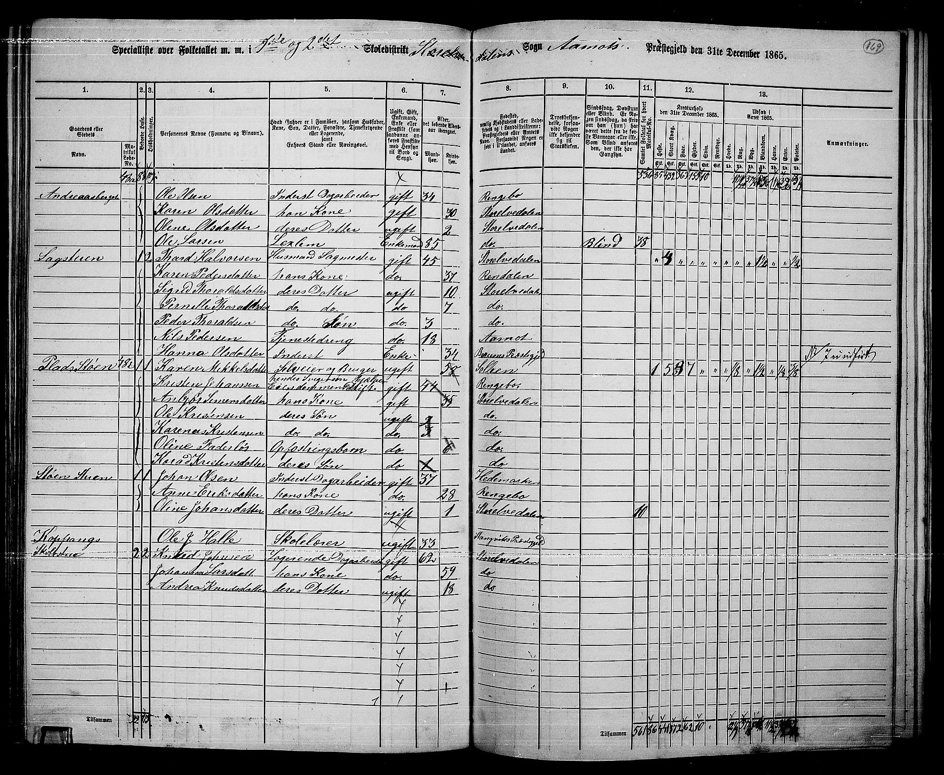 RA, 1865 census for Åmot, 1865, p. 148