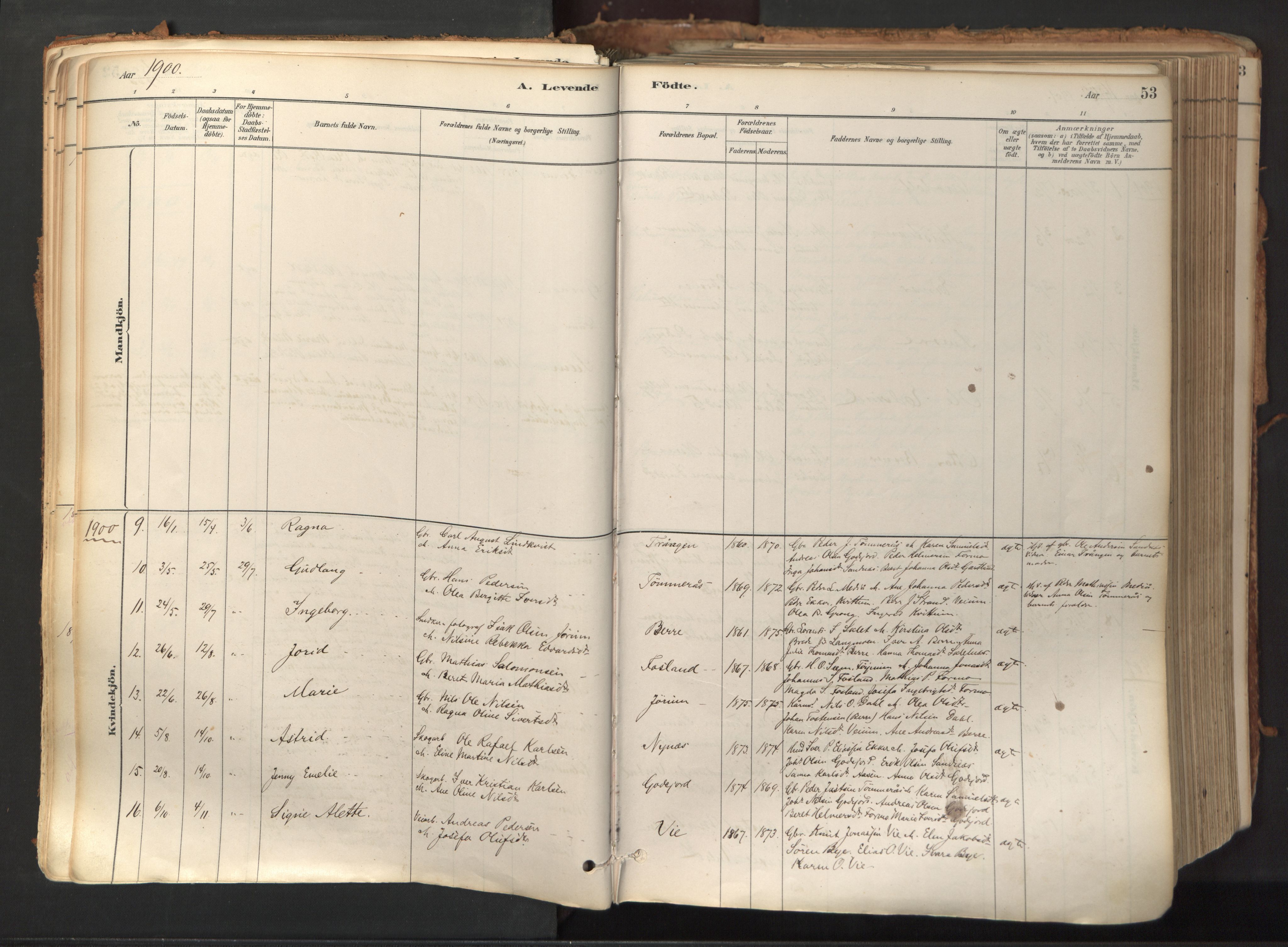 Ministerialprotokoller, klokkerbøker og fødselsregistre - Nord-Trøndelag, SAT/A-1458/758/L0519: Parish register (official) no. 758A04, 1880-1926, p. 53
