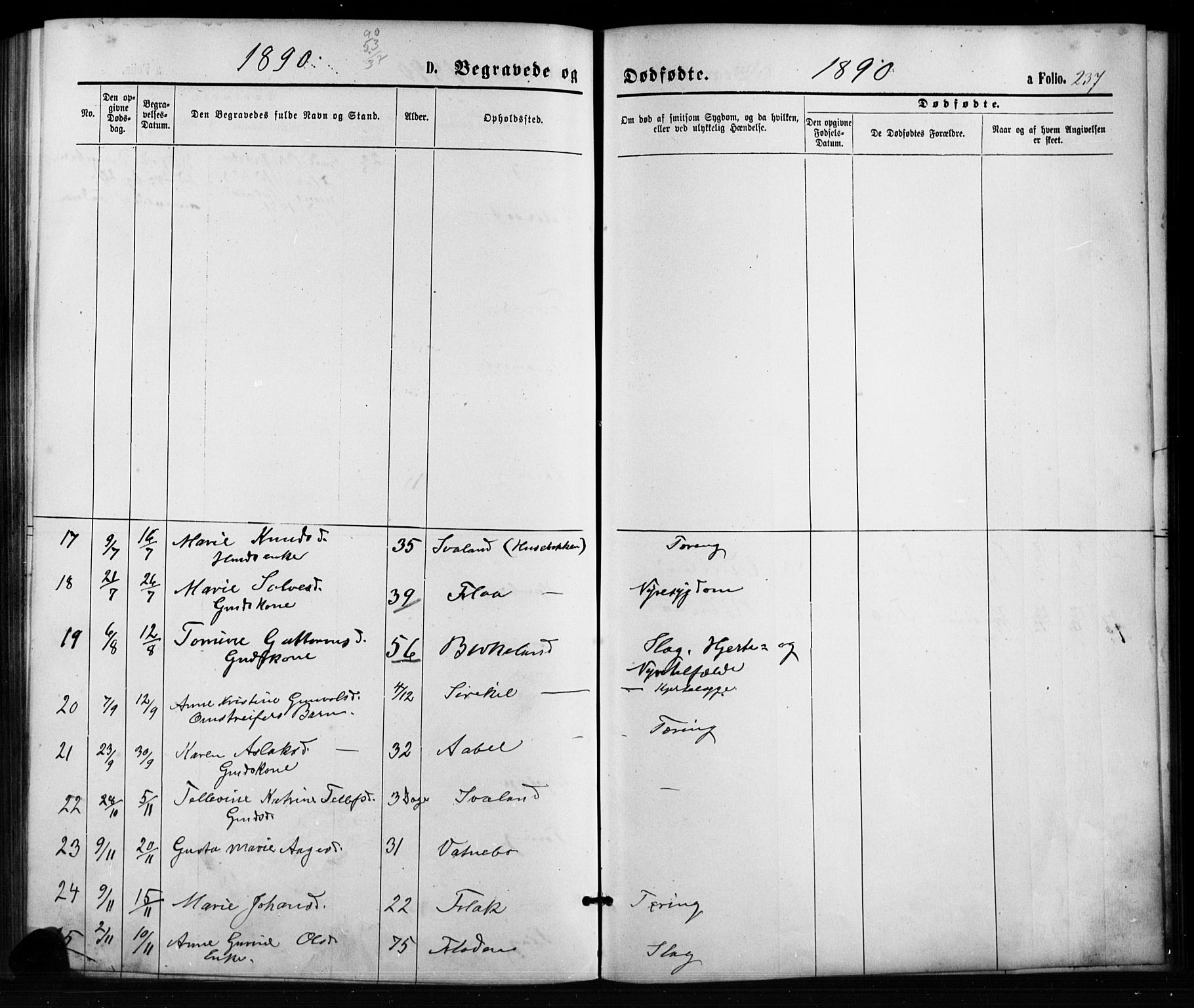 Birkenes sokneprestkontor, SAK/1111-0004/F/Fb/L0003: Parish register (copy) no. B 3, 1876-1892, p. 237