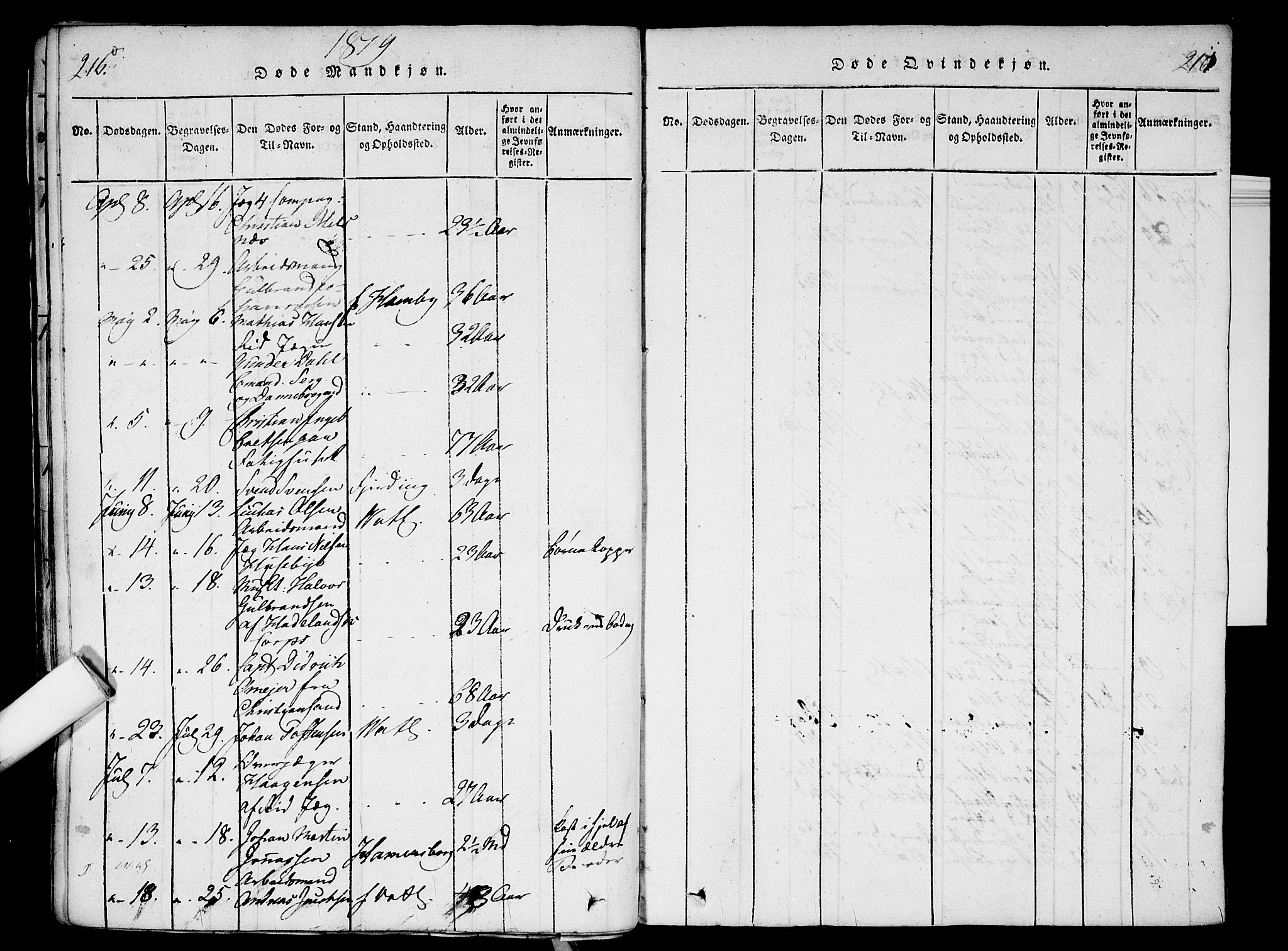 Garnisonsmenigheten Kirkebøker, AV/SAO-A-10846/G/Ga/L0003: Parish register (copy) no. 3, 1815-1819, p. 216-217