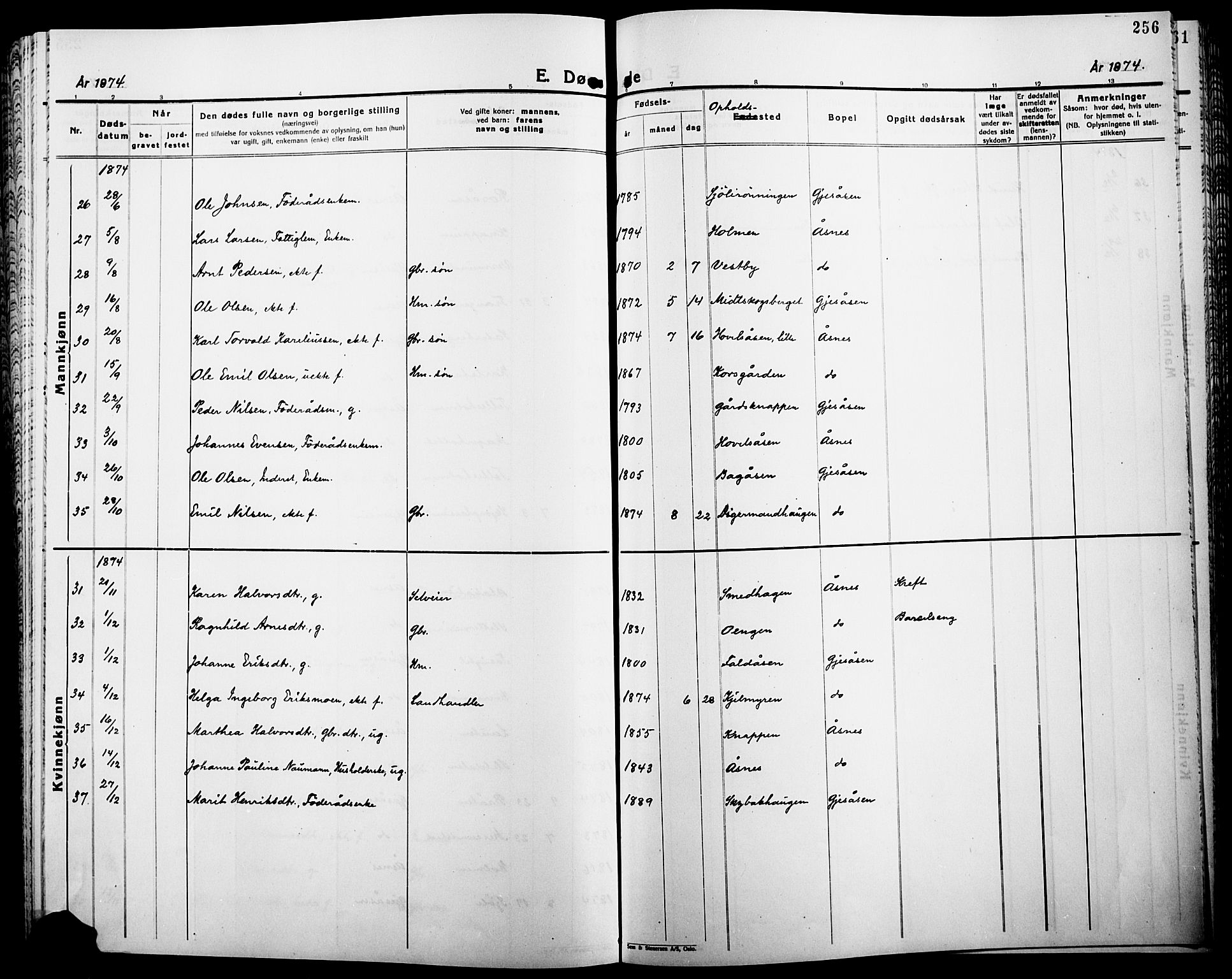 Åsnes prestekontor, AV/SAH-PREST-042/H/Ha/Haa/L0000B: Parish register (official), 1870-1889, p. 256