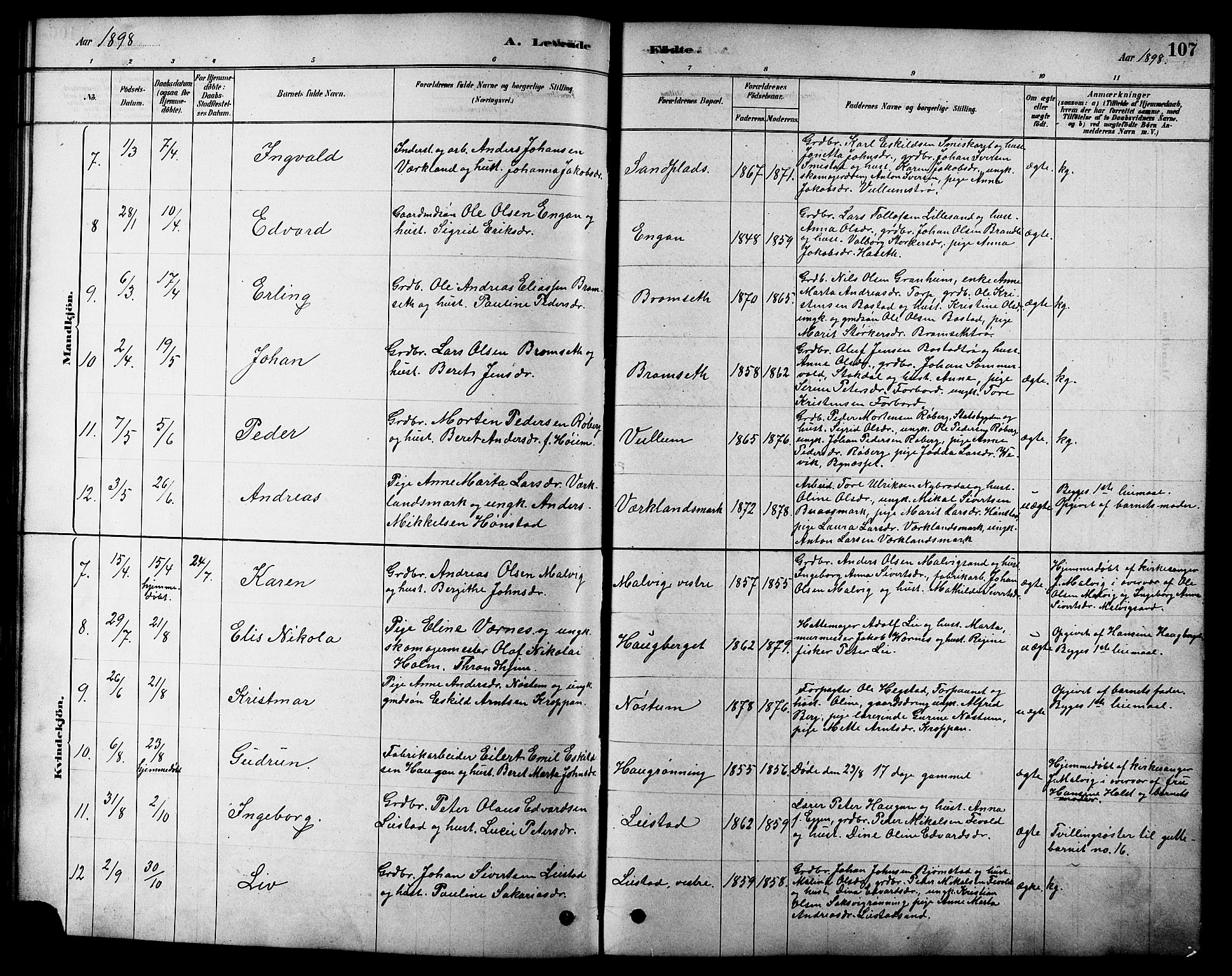 Ministerialprotokoller, klokkerbøker og fødselsregistre - Sør-Trøndelag, SAT/A-1456/616/L0423: Parish register (copy) no. 616C06, 1878-1903, p. 107