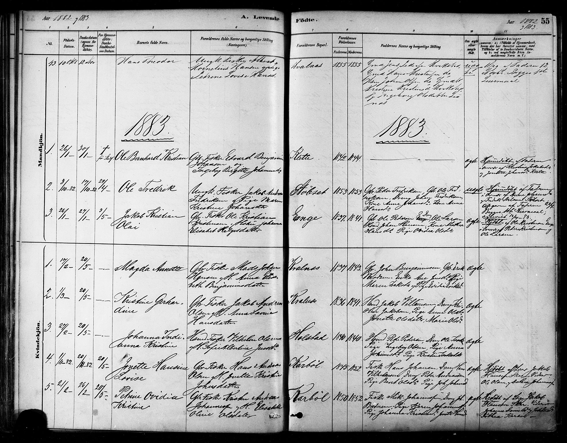 Ministerialprotokoller, klokkerbøker og fødselsregistre - Nordland, AV/SAT-A-1459/852/L0740: Parish register (official) no. 852A10, 1878-1894, p. 55