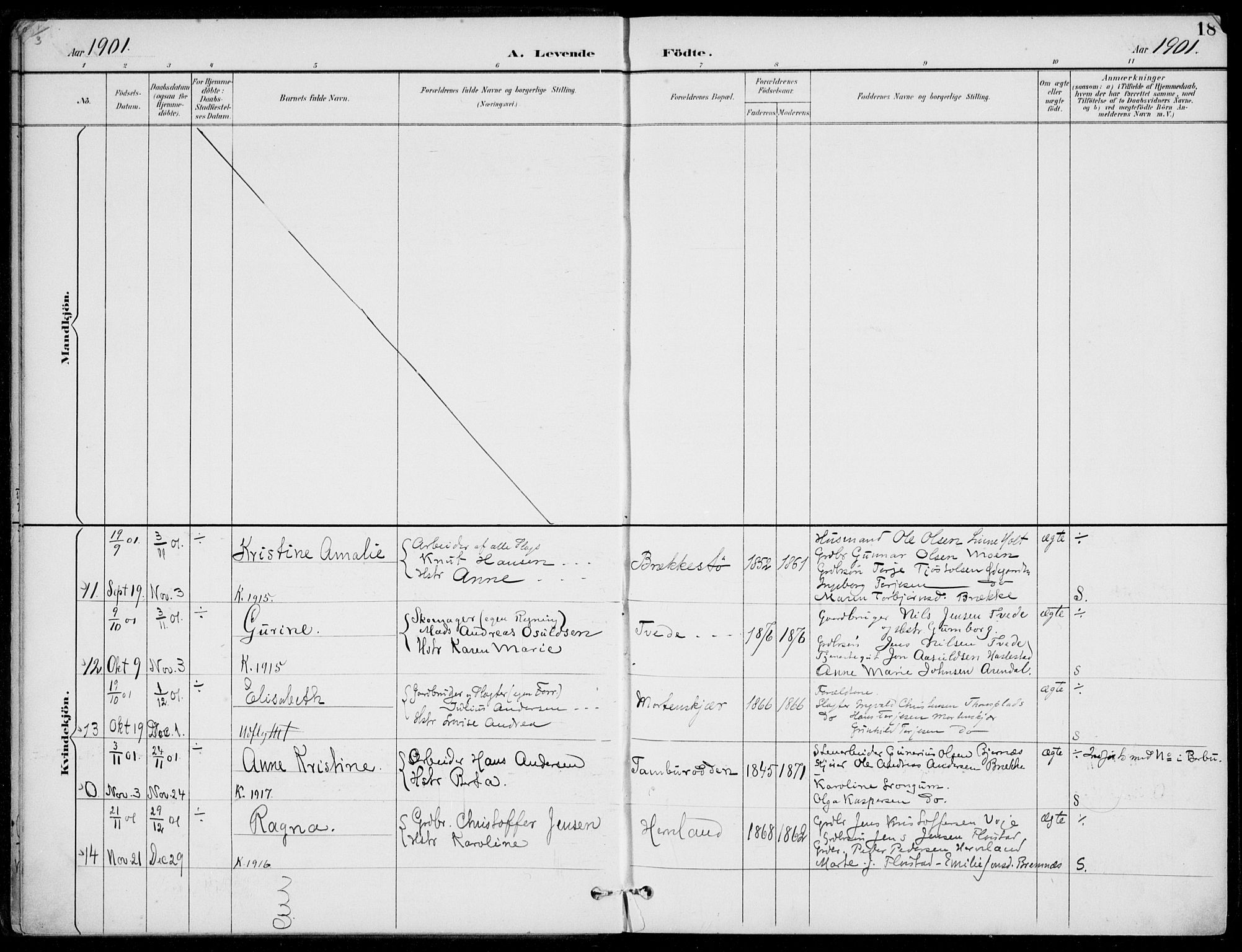 Austre Moland sokneprestkontor, AV/SAK-1111-0001/F/Fa/Faa/L0011: Parish register (official) no. A 11, 1894-1915, p. 18