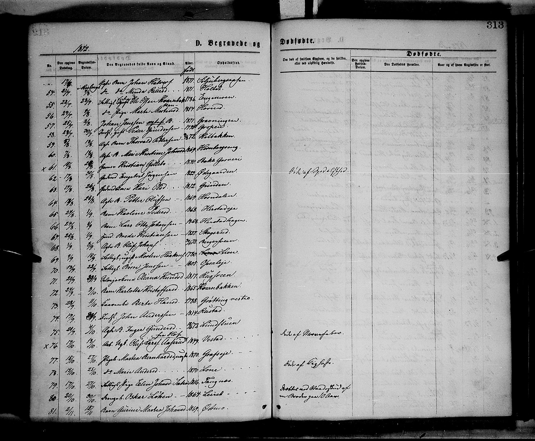 Elverum prestekontor, SAH/PREST-044/H/Ha/Haa/L0011: Parish register (official) no. 11, 1869-1879, p. 313