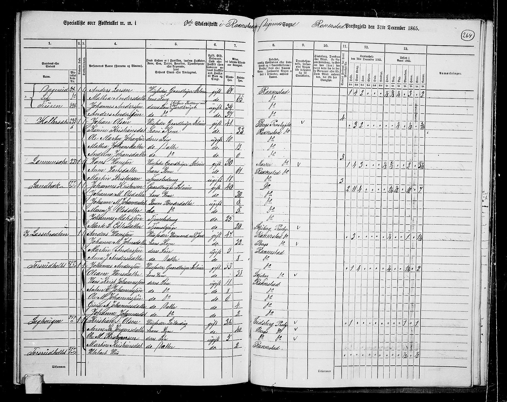 RA, 1865 census for Rakkestad, 1865, p. 253