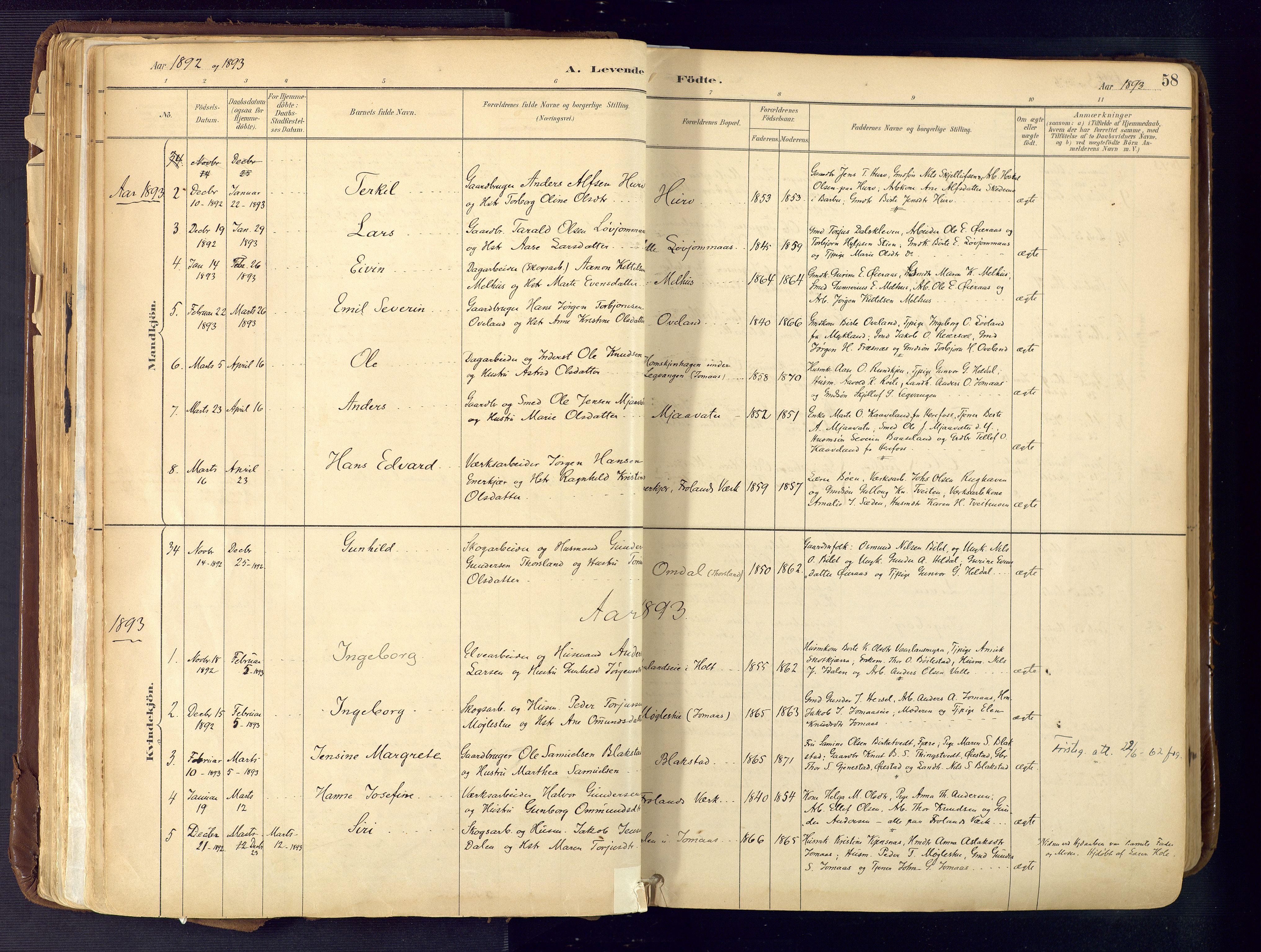 Froland sokneprestkontor, AV/SAK-1111-0013/F/Fa/L0005: Parish register (official) no. A 5, 1882-1921, p. 58