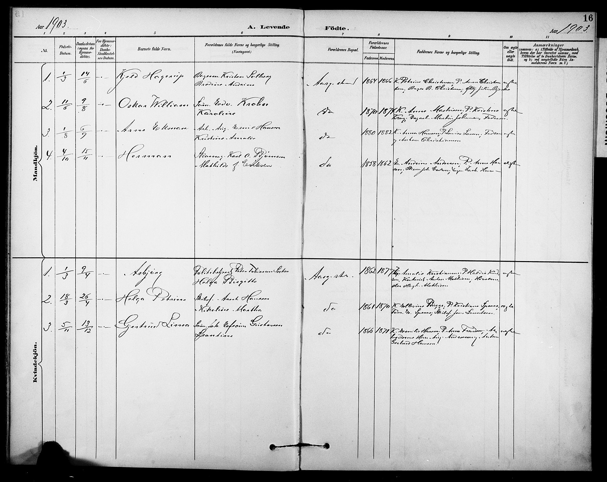 Borre kirkebøker, SAKO/A-338/F/Fb/L0002: Parish register (official) no. II 2, 1893-1905, p. 16