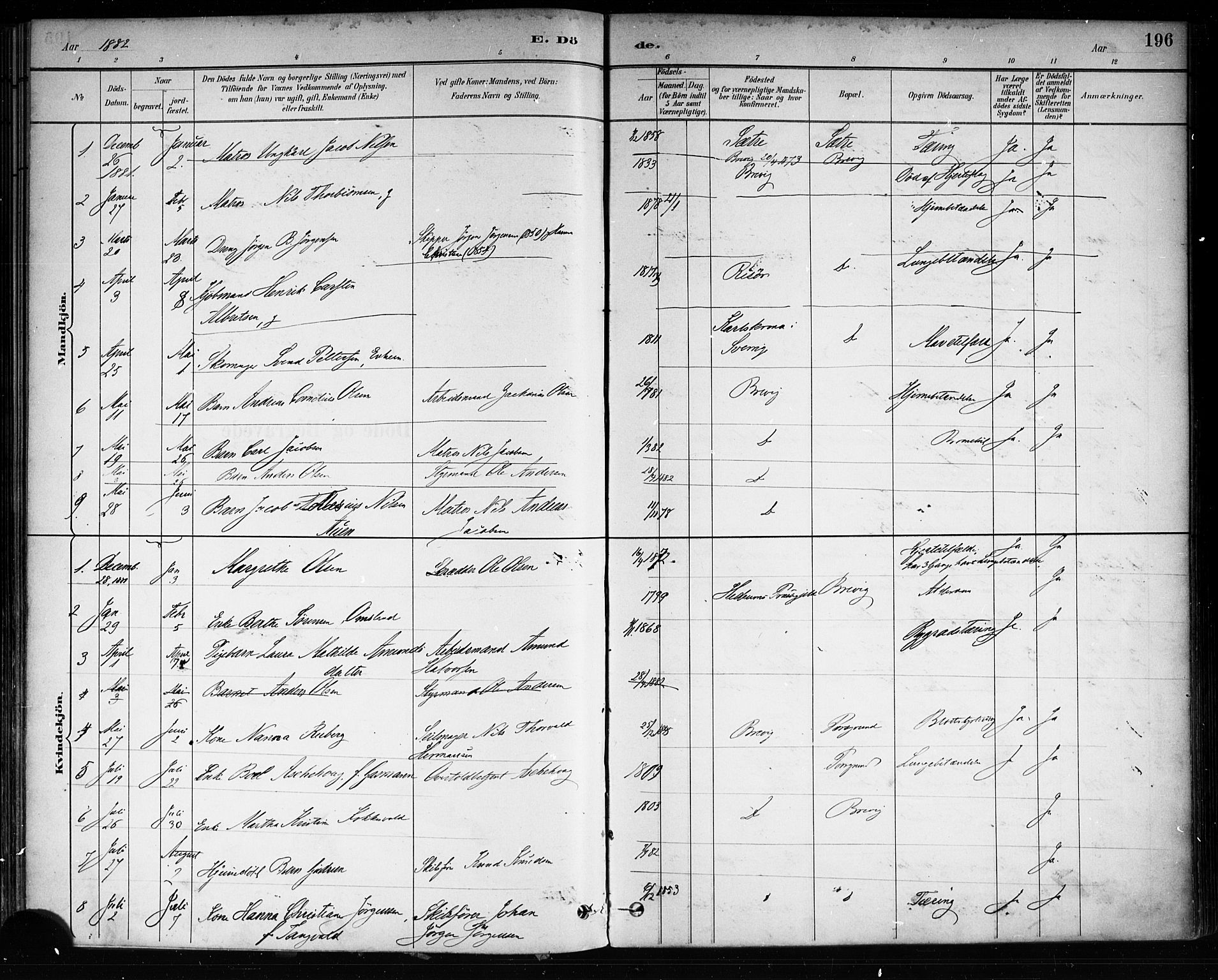 Brevik kirkebøker, SAKO/A-255/F/Fa/L0007: Parish register (official) no. 7, 1882-1900, p. 196