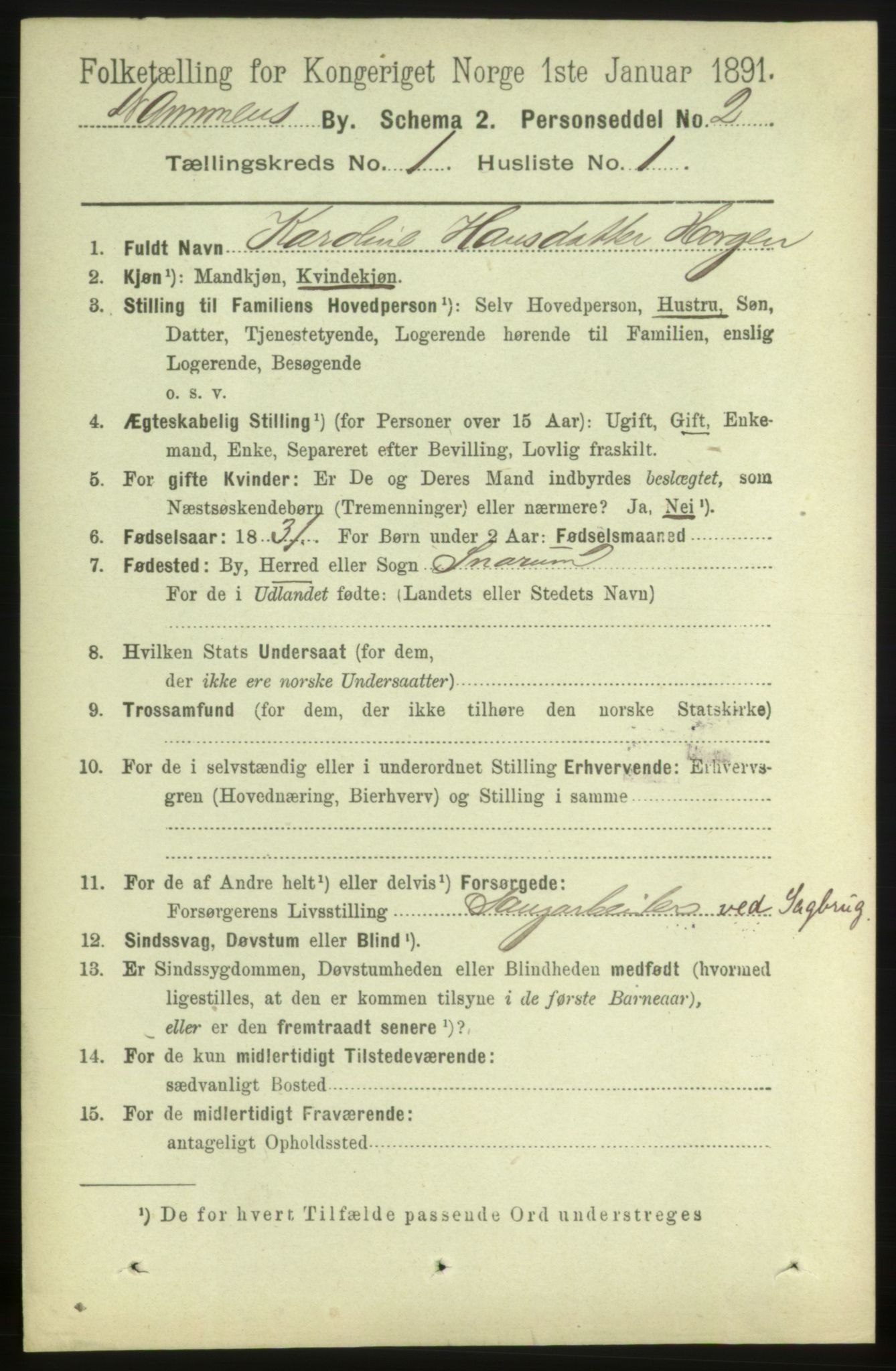 RA, 1891 census for 0602 Drammen, 1891, p. 3895