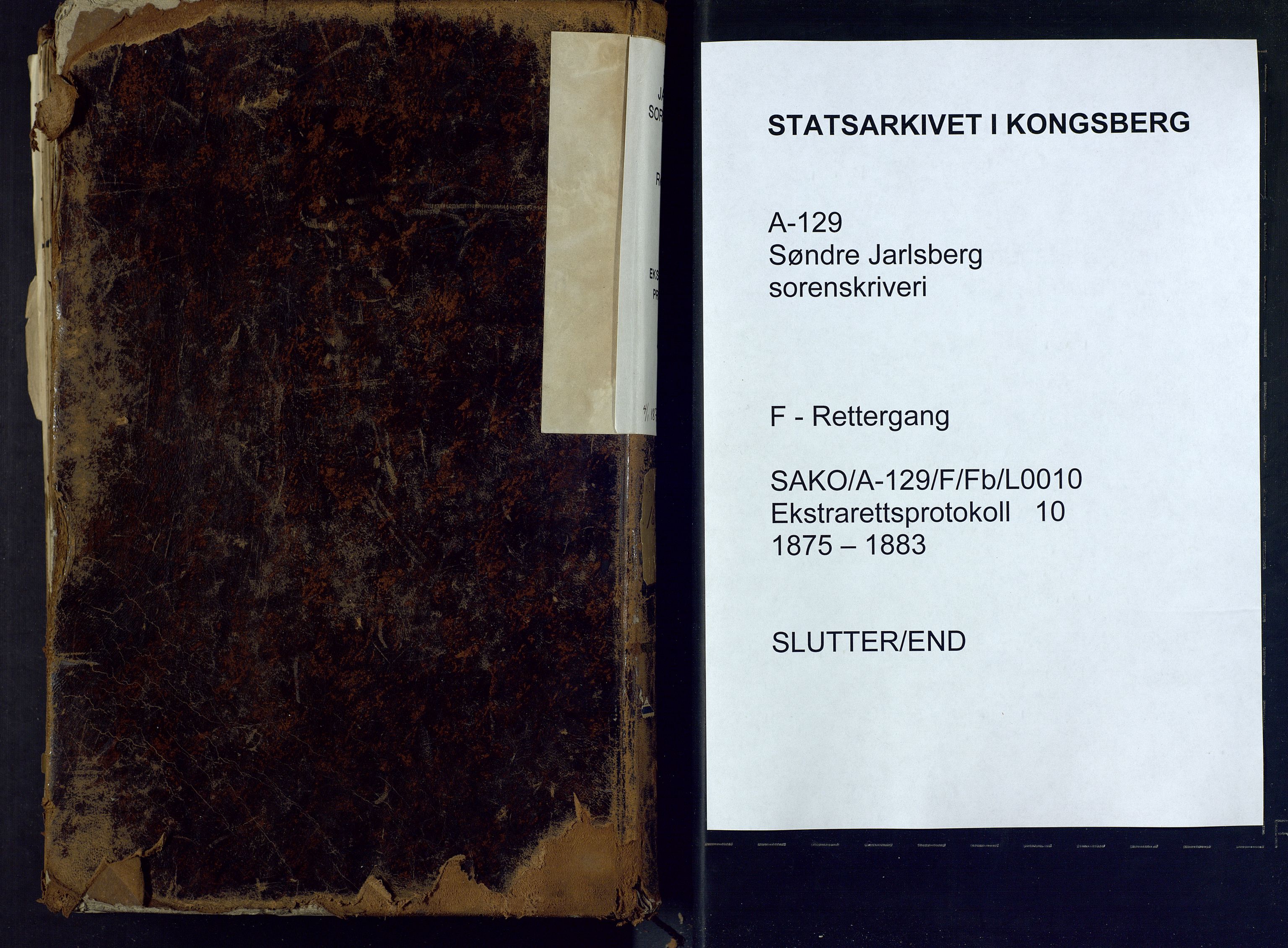 Søndre Jarlsberg sorenskriveri, SAKO/A-129/F/Fb/L0010: Ekstrarettsprotokoll, 1875-1883