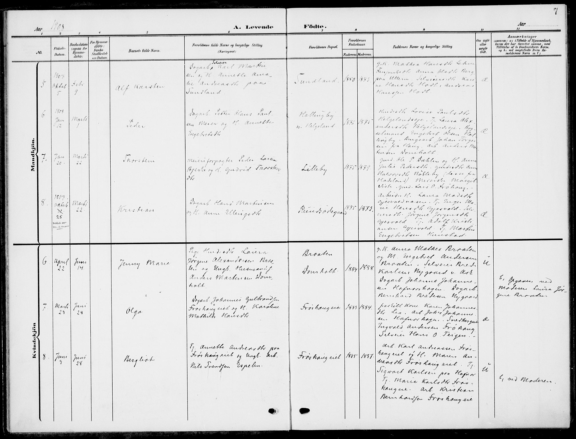 Hole kirkebøker, AV/SAKO-A-228/F/Fa/L0010: Parish register (official) no. I 10, 1907-1917, p. 7