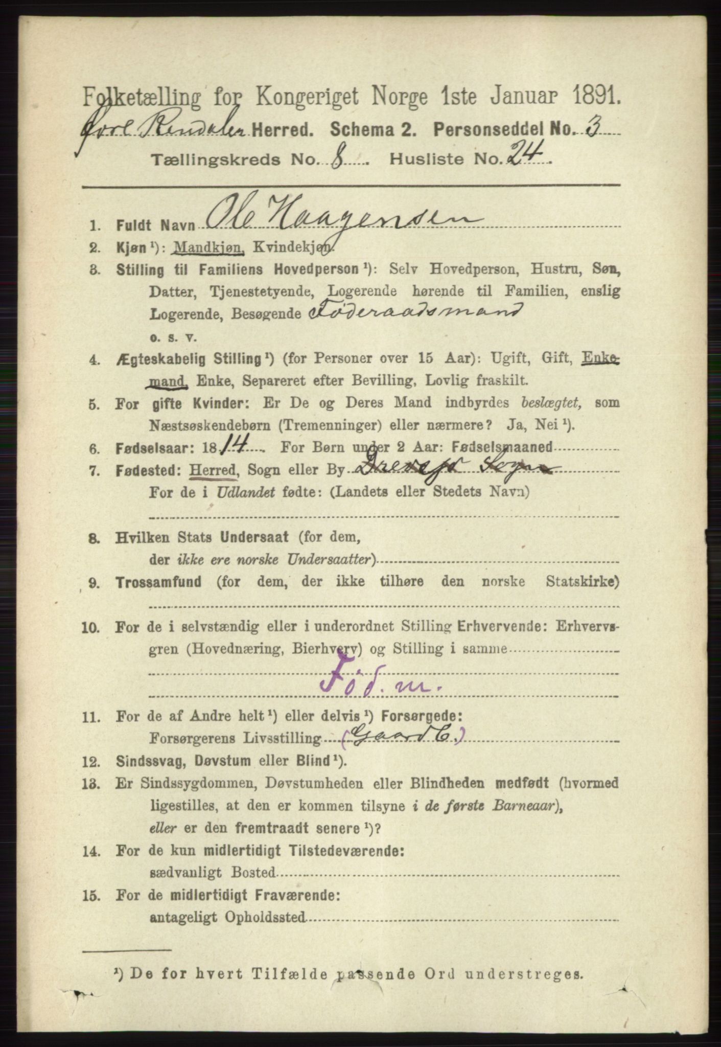 RA, 1891 census for 0433 Øvre Rendal, 1891, p. 2169