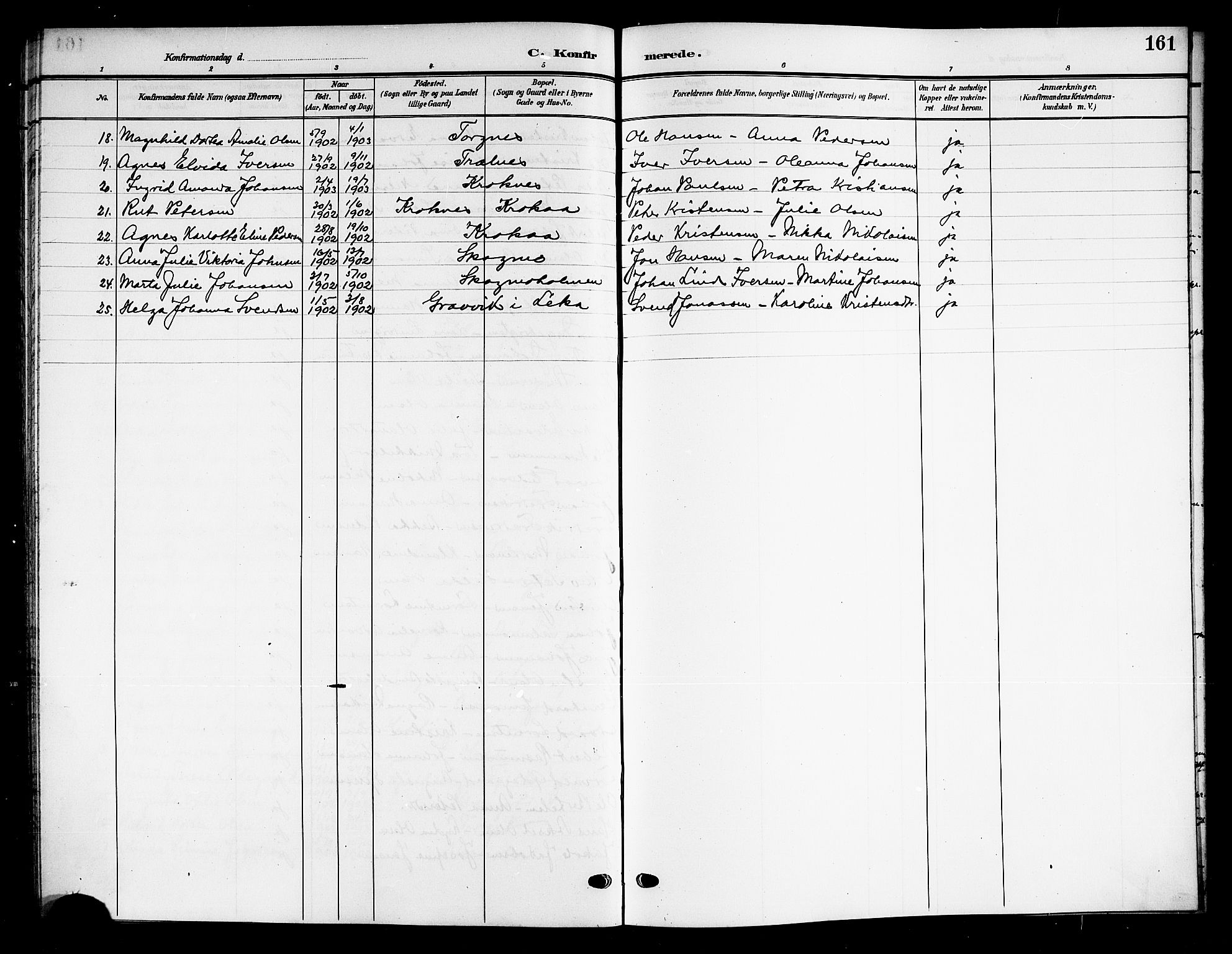 Ministerialprotokoller, klokkerbøker og fødselsregistre - Nordland, AV/SAT-A-1459/813/L0214: Parish register (copy) no. 813C06, 1904-1917, p. 161