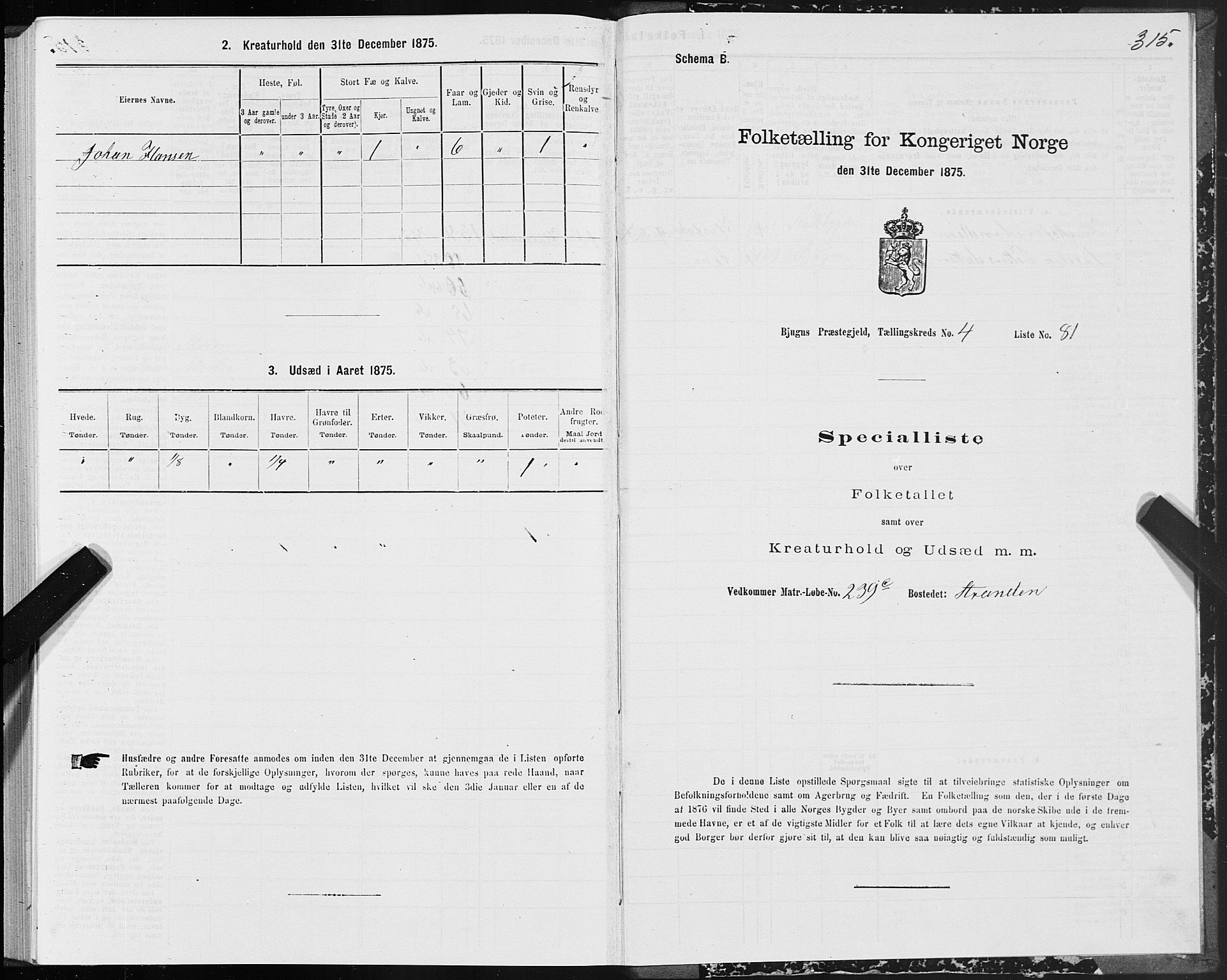 SAT, 1875 census for 1627P Bjugn, 1875, p. 2315