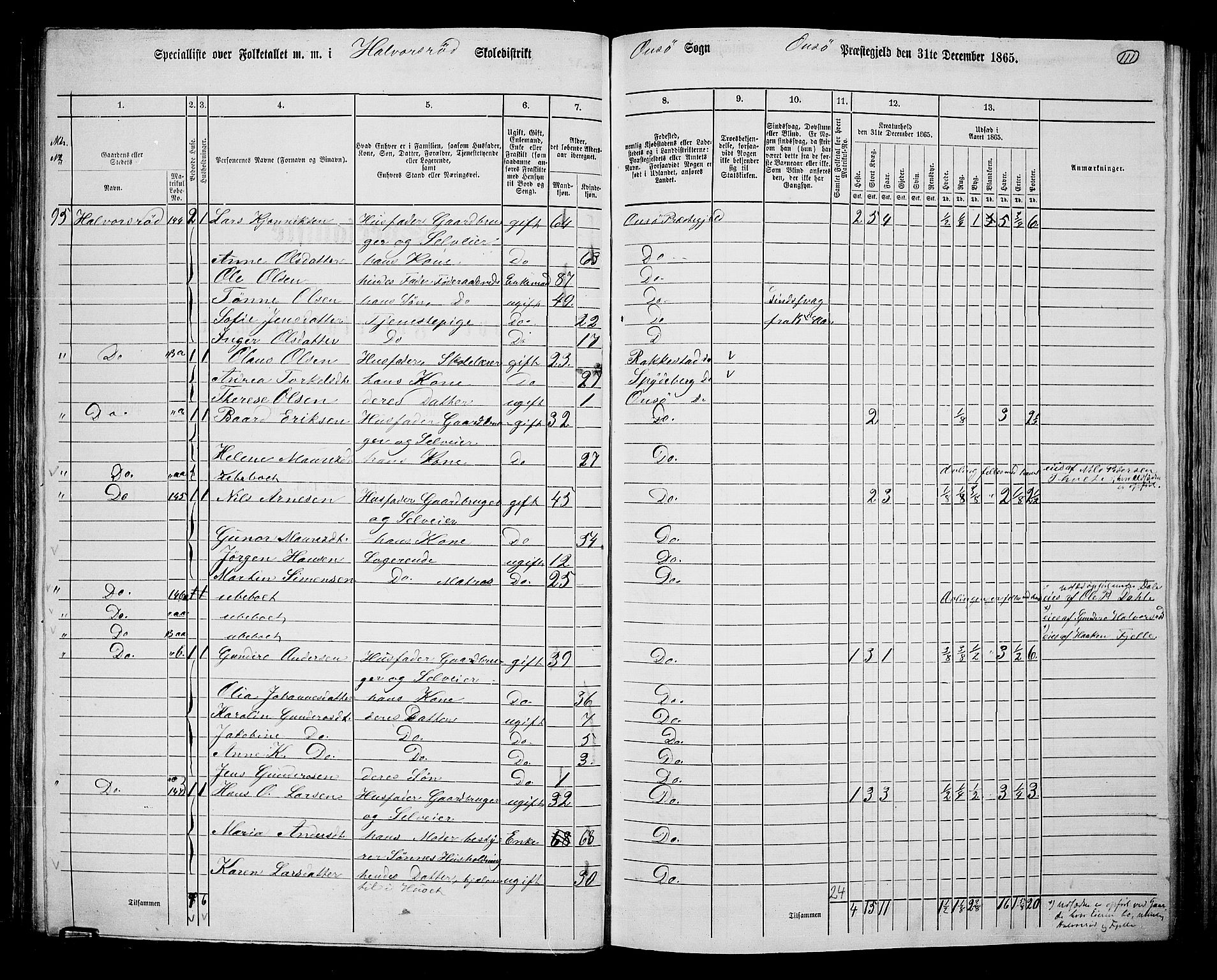 RA, 1865 census for Onsøy, 1865, p. 104