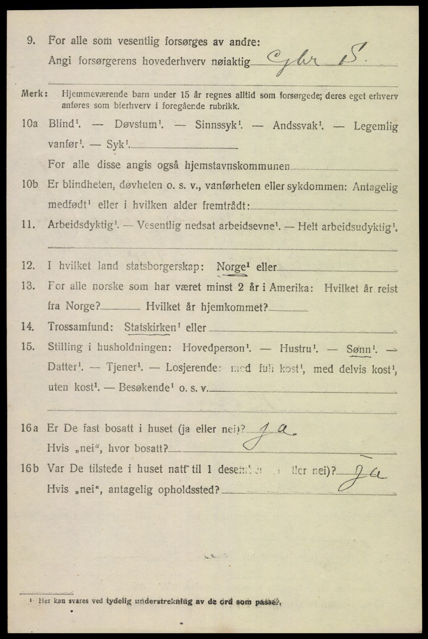 SAK, 1920 census for Hornnes, 1920, p. 2504